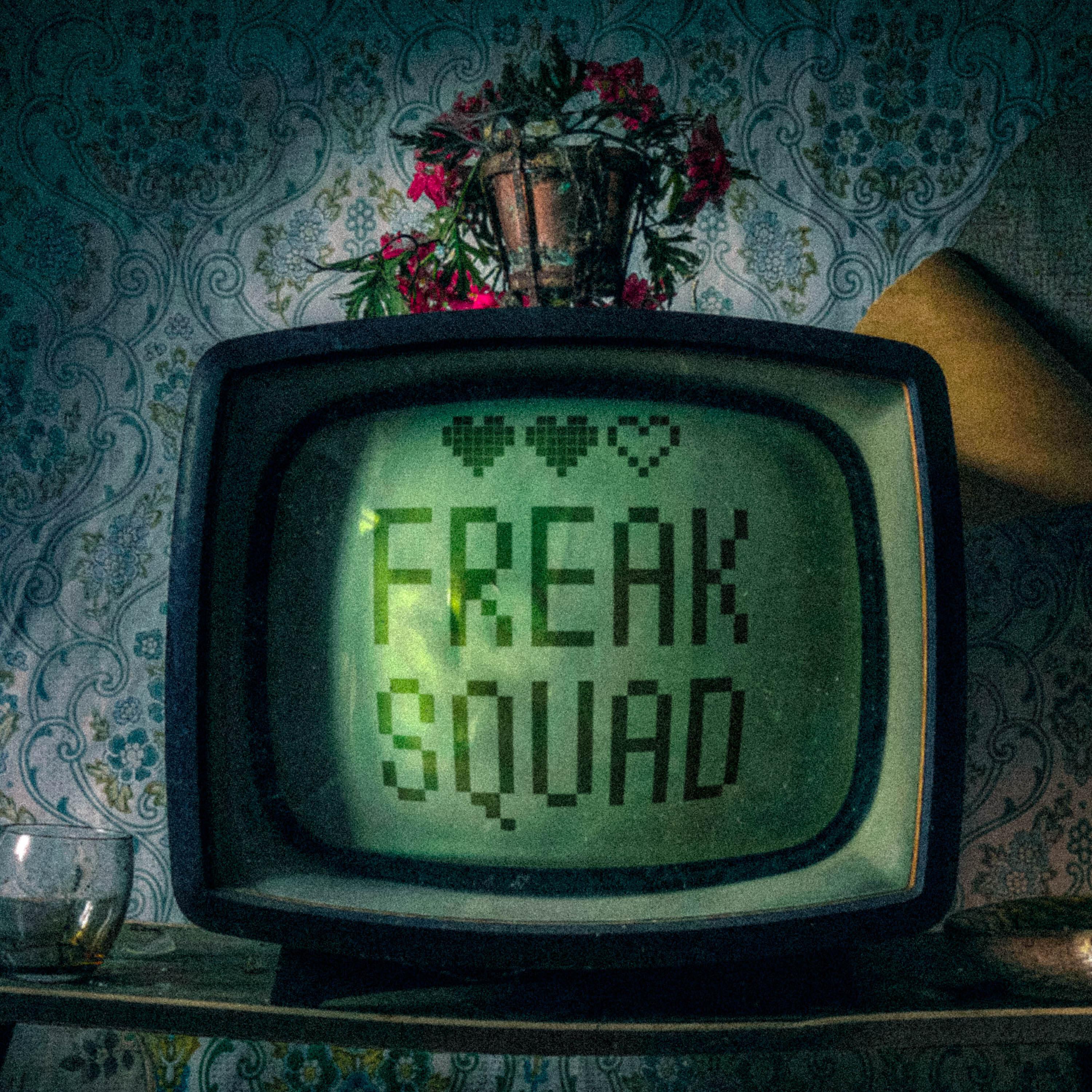 Постер альбома Freak Squad