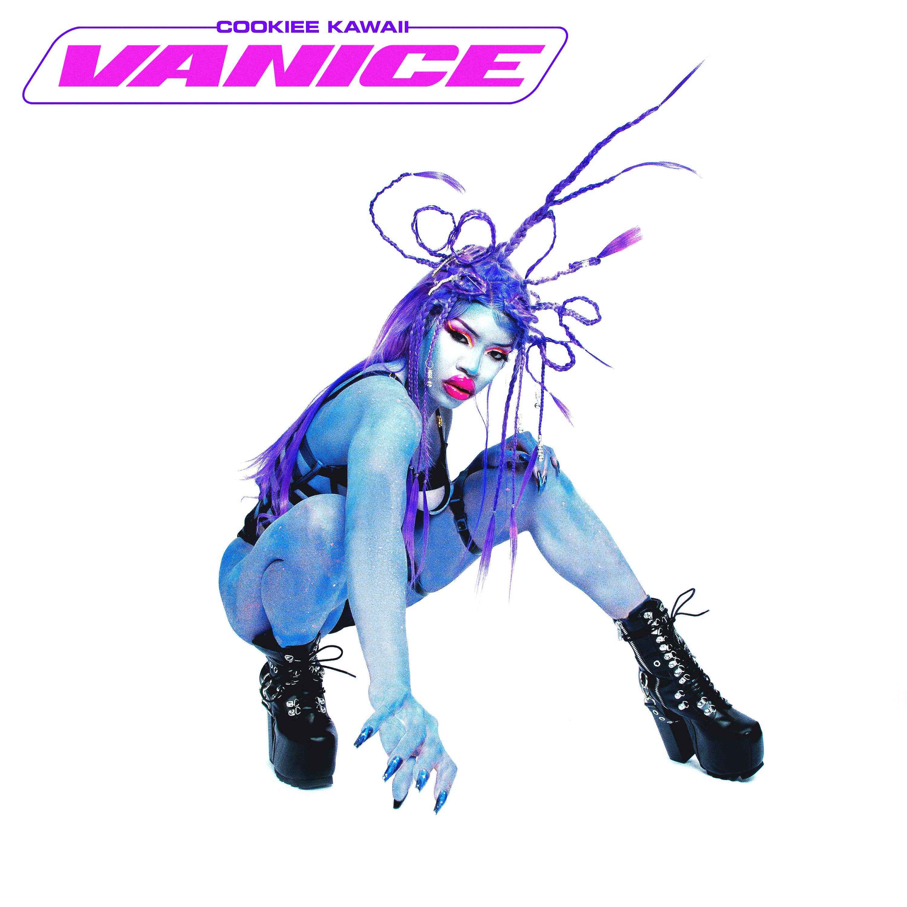 Постер альбома Vanice