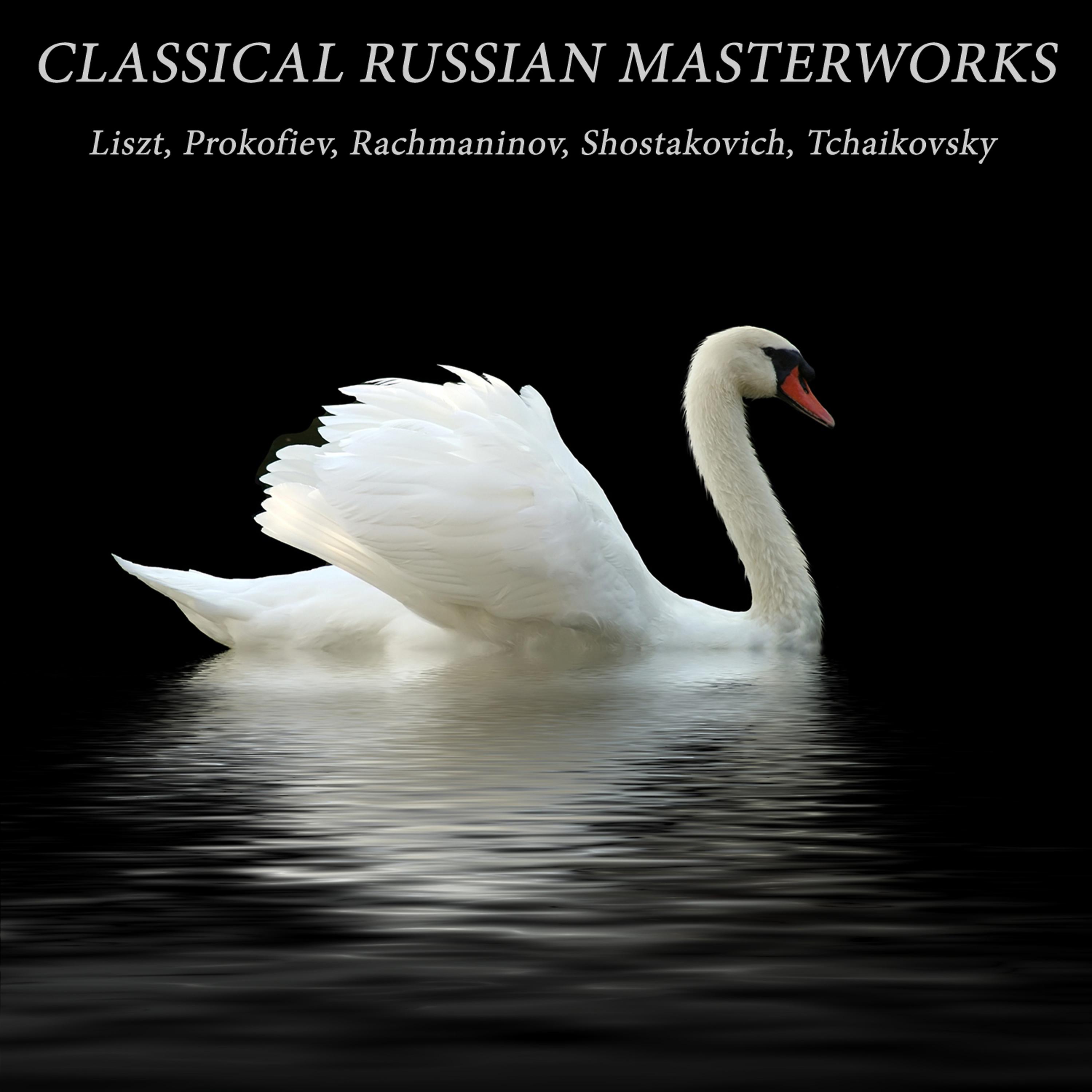 Постер альбома Classical Russian Masterworks: Liszt, Prokofiev, Rachmaninov, Shostakovich, Tchaikovsky