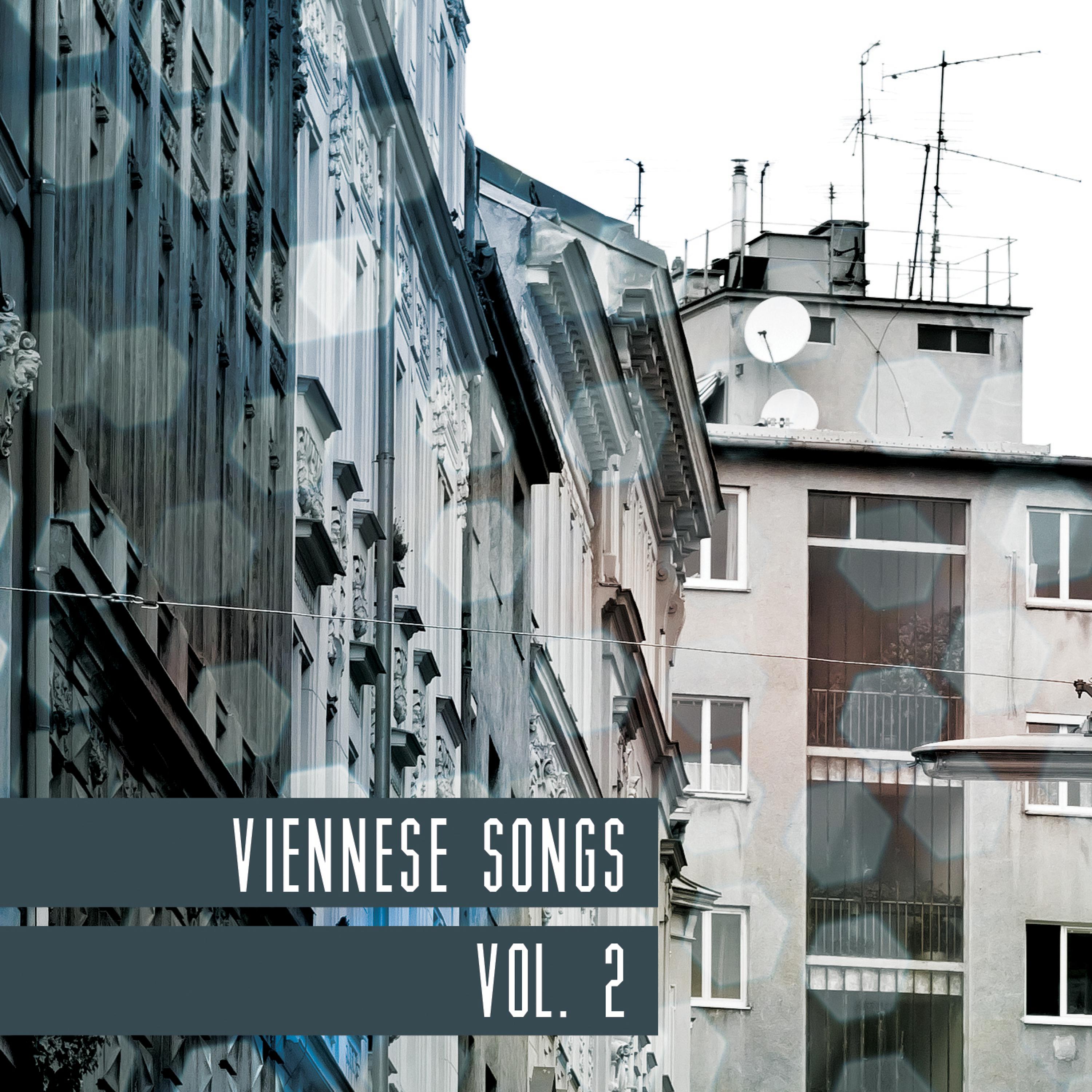 Постер альбома Viennese Songs, Vol. 2