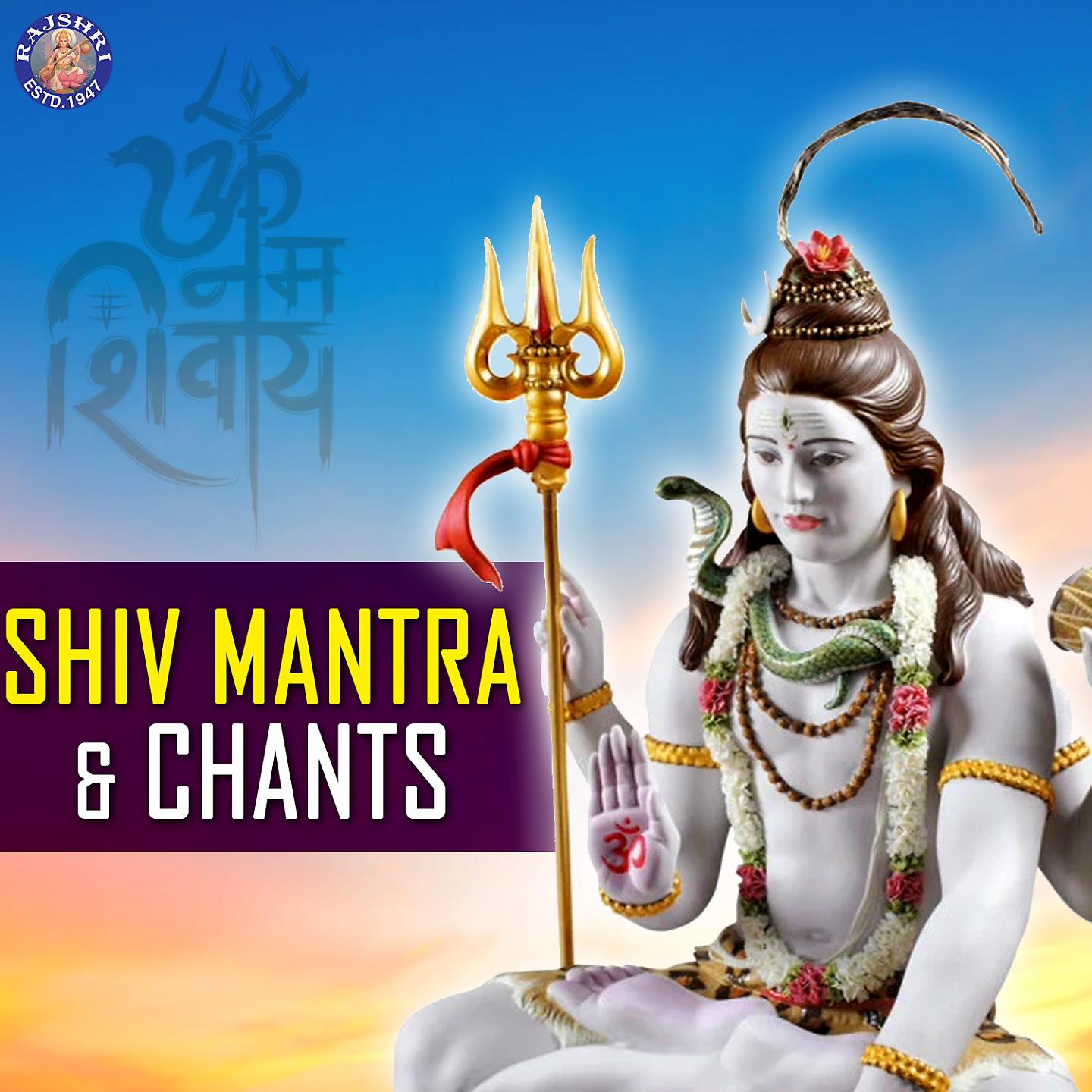 Постер альбома Shiv Mantra & Chants
