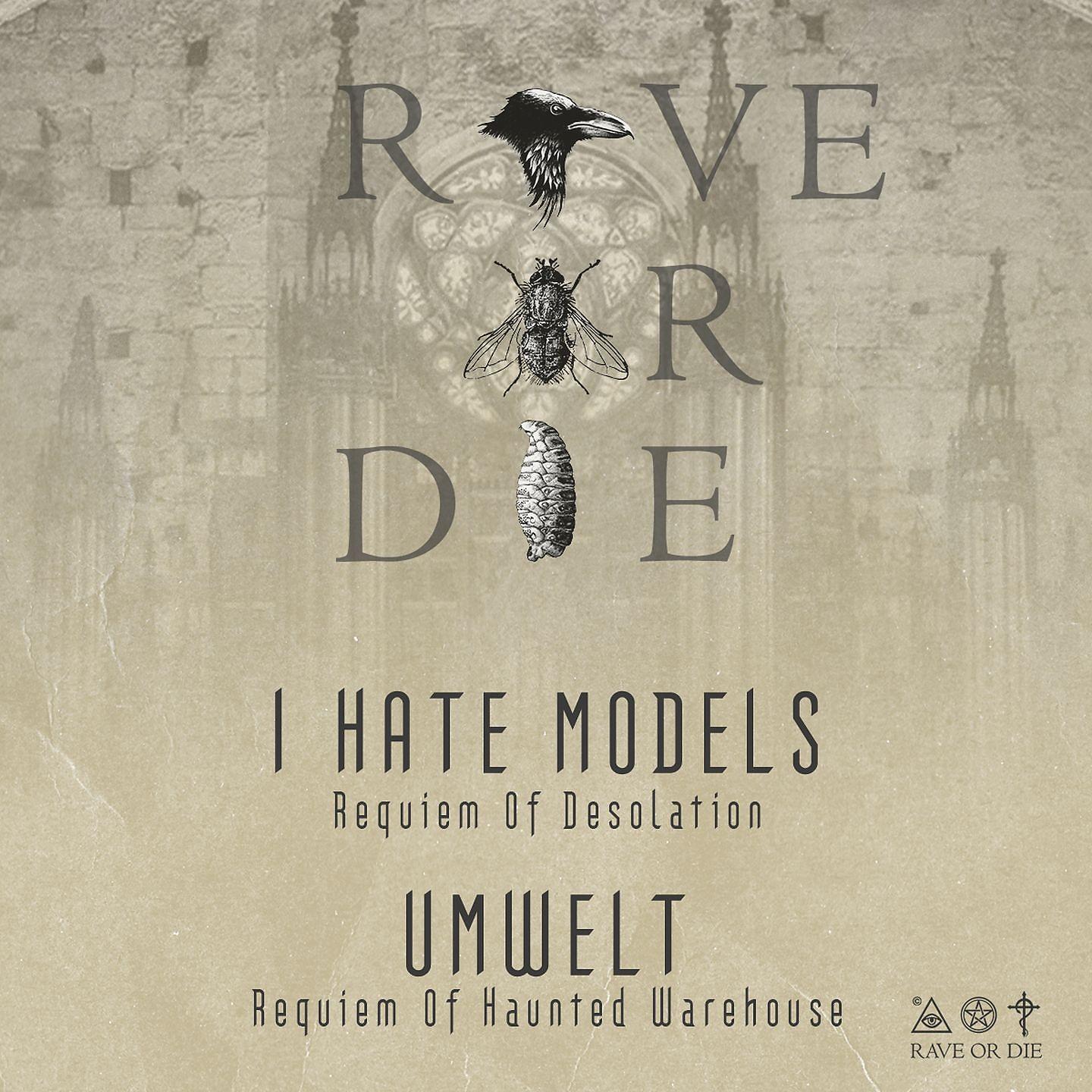 Постер альбома Rave or Die 10