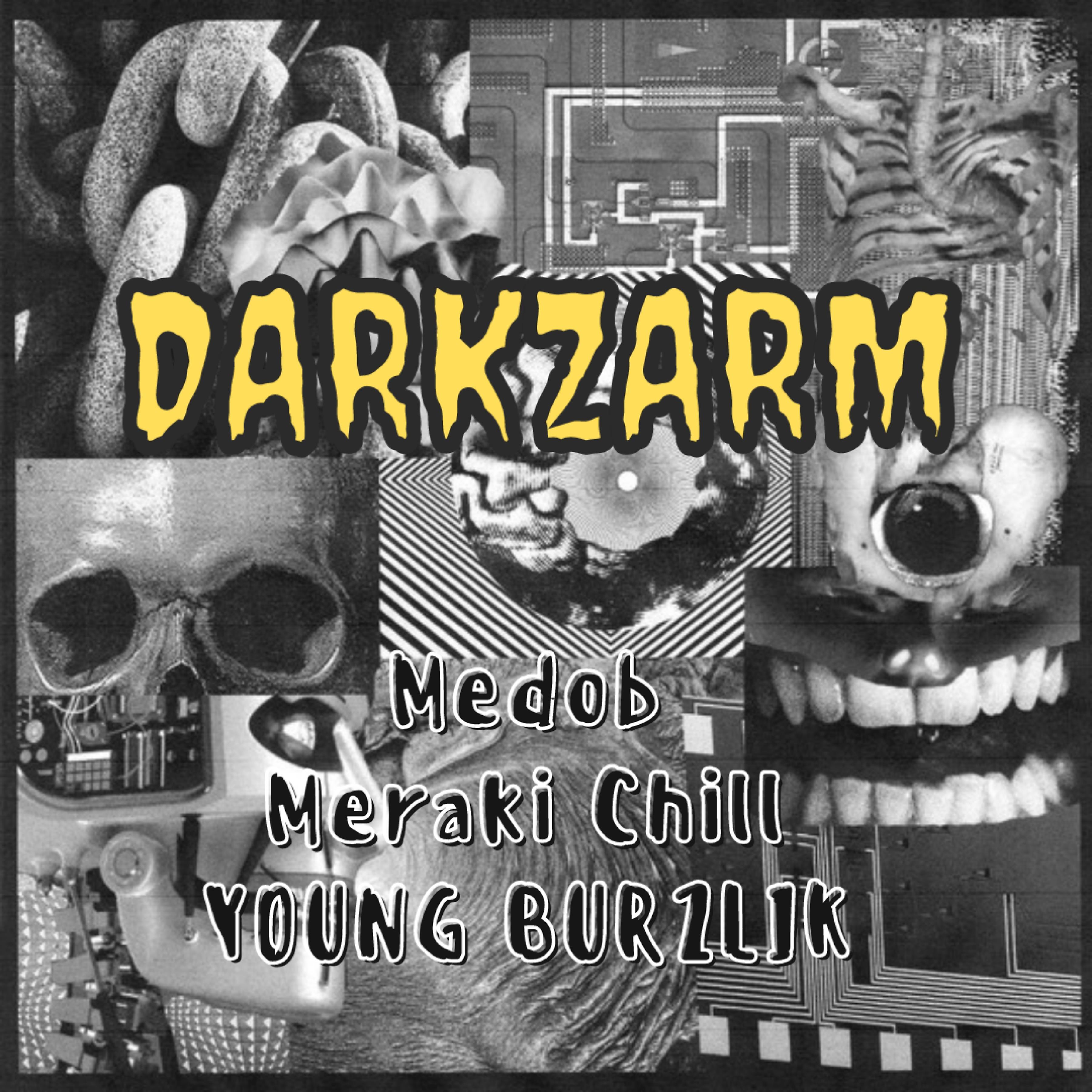 Постер альбома Darkzarm