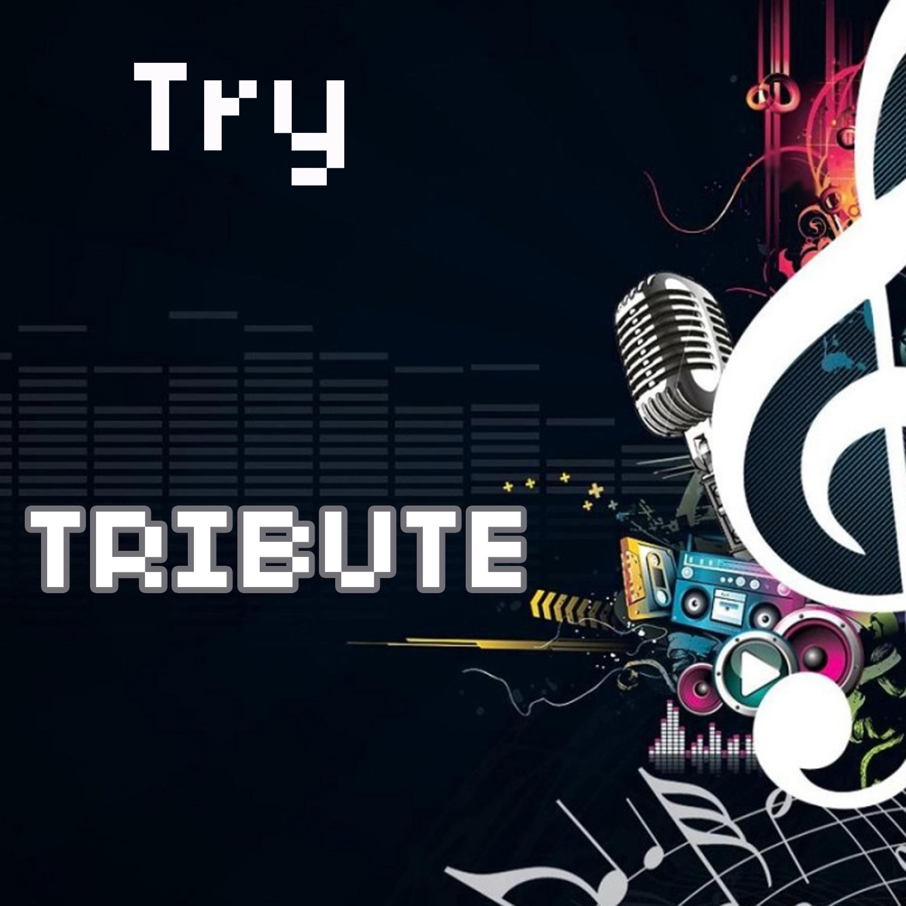Постер альбома Try (Tribute to Pink)