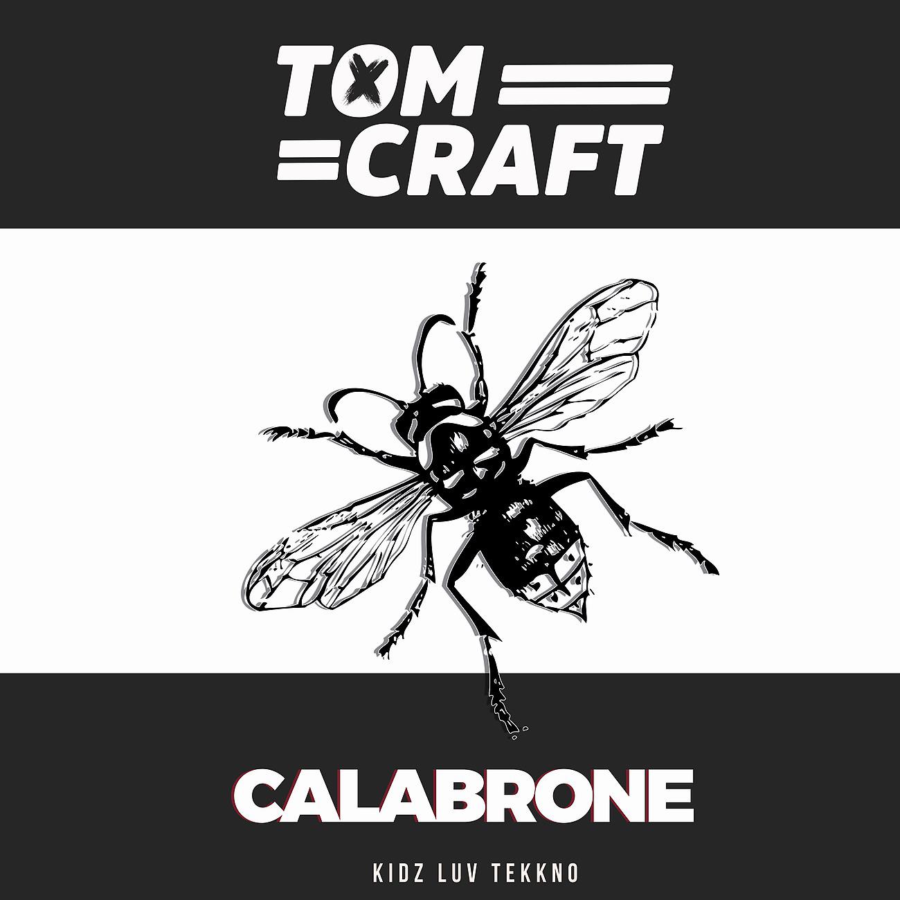 Постер альбома Calabrone