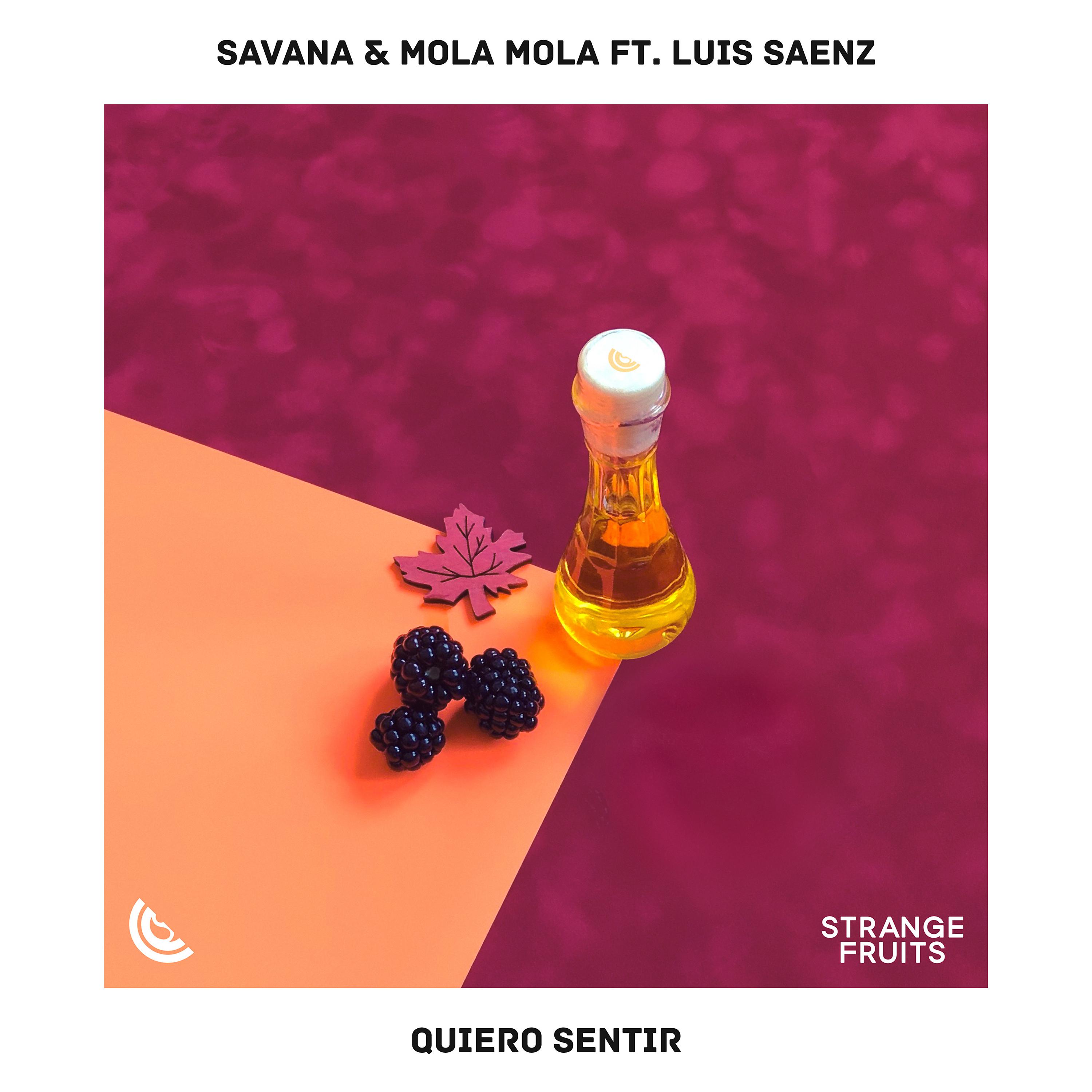 Постер альбома Quiero Sentir (feat. Luis Sáenz)