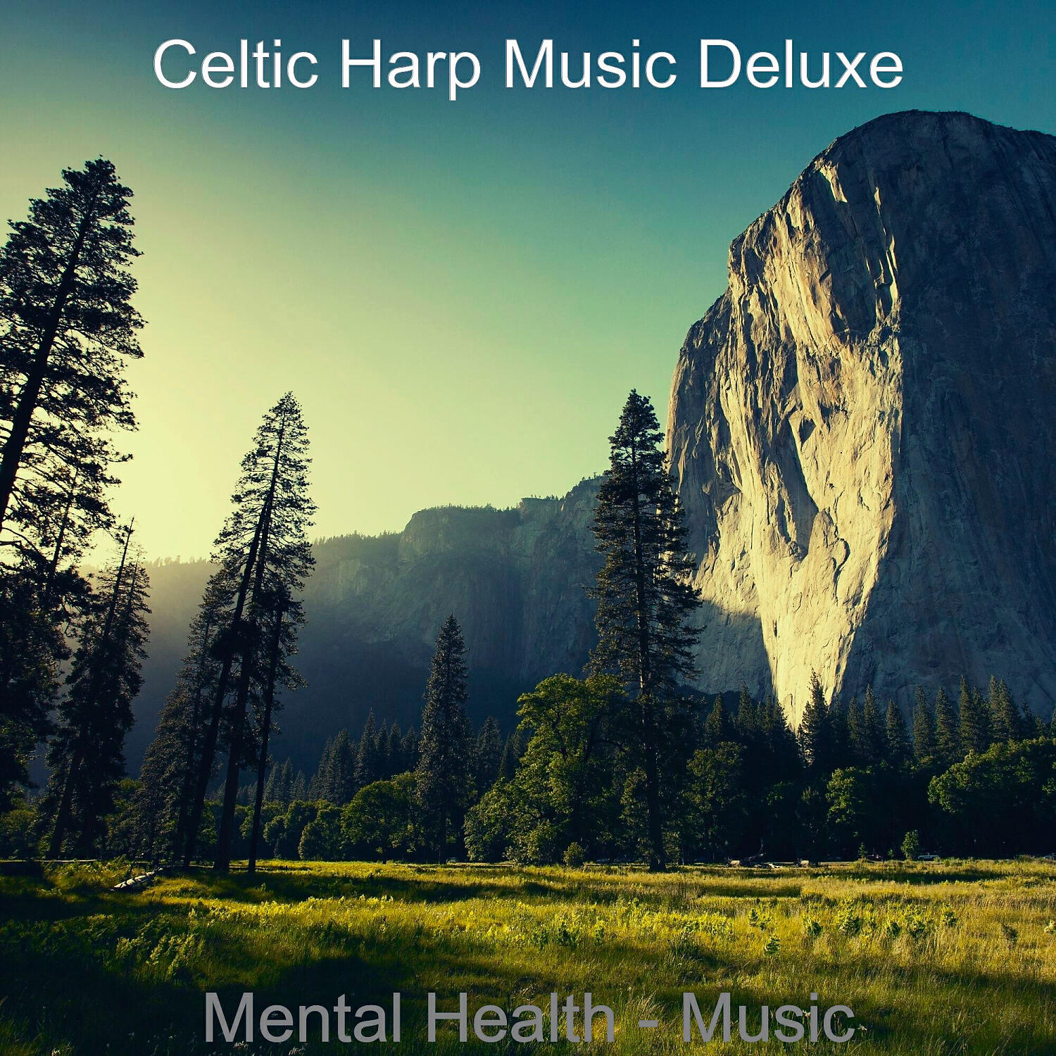 Celtic Harp Music Deluxe - Music (Wellness Routines)