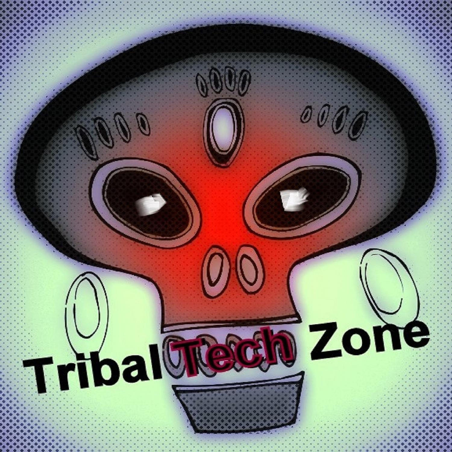 Постер альбома Tribal Tech Zone
