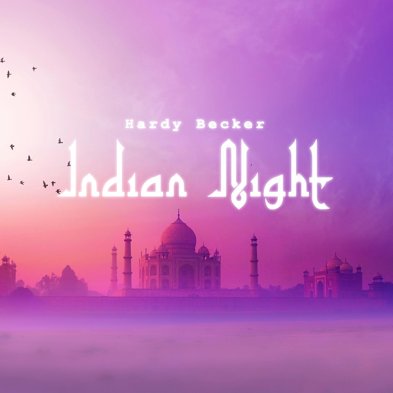 Постер альбома Indian Night