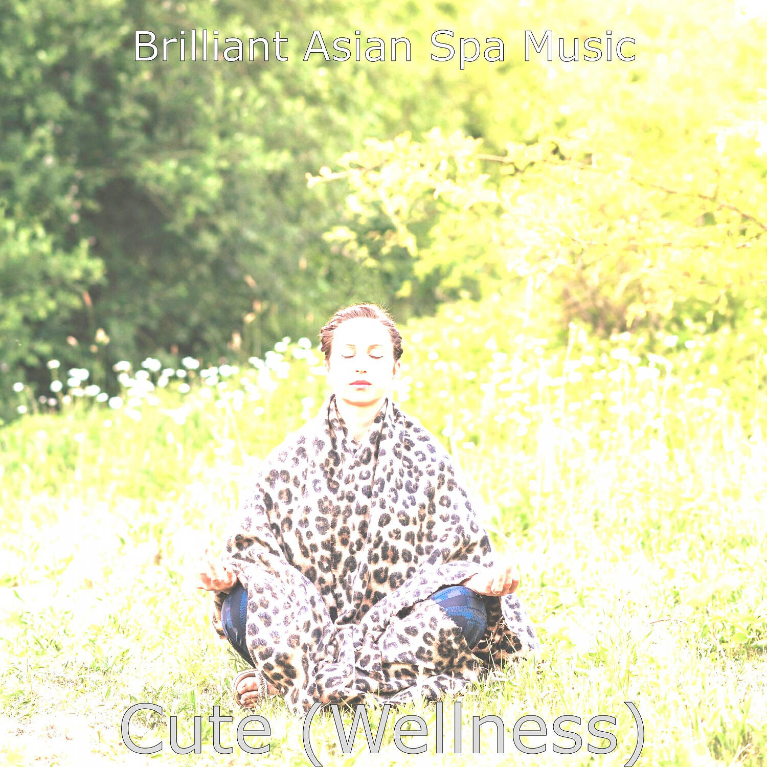 Brilliant Asian Spa Music - Relaxing (Music)