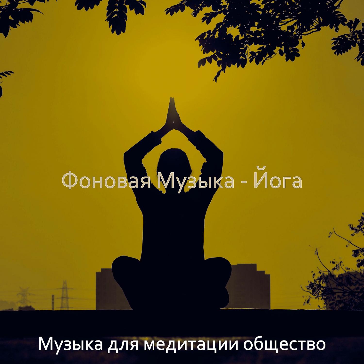 Постер альбома Фоновая Музыка - Йога
