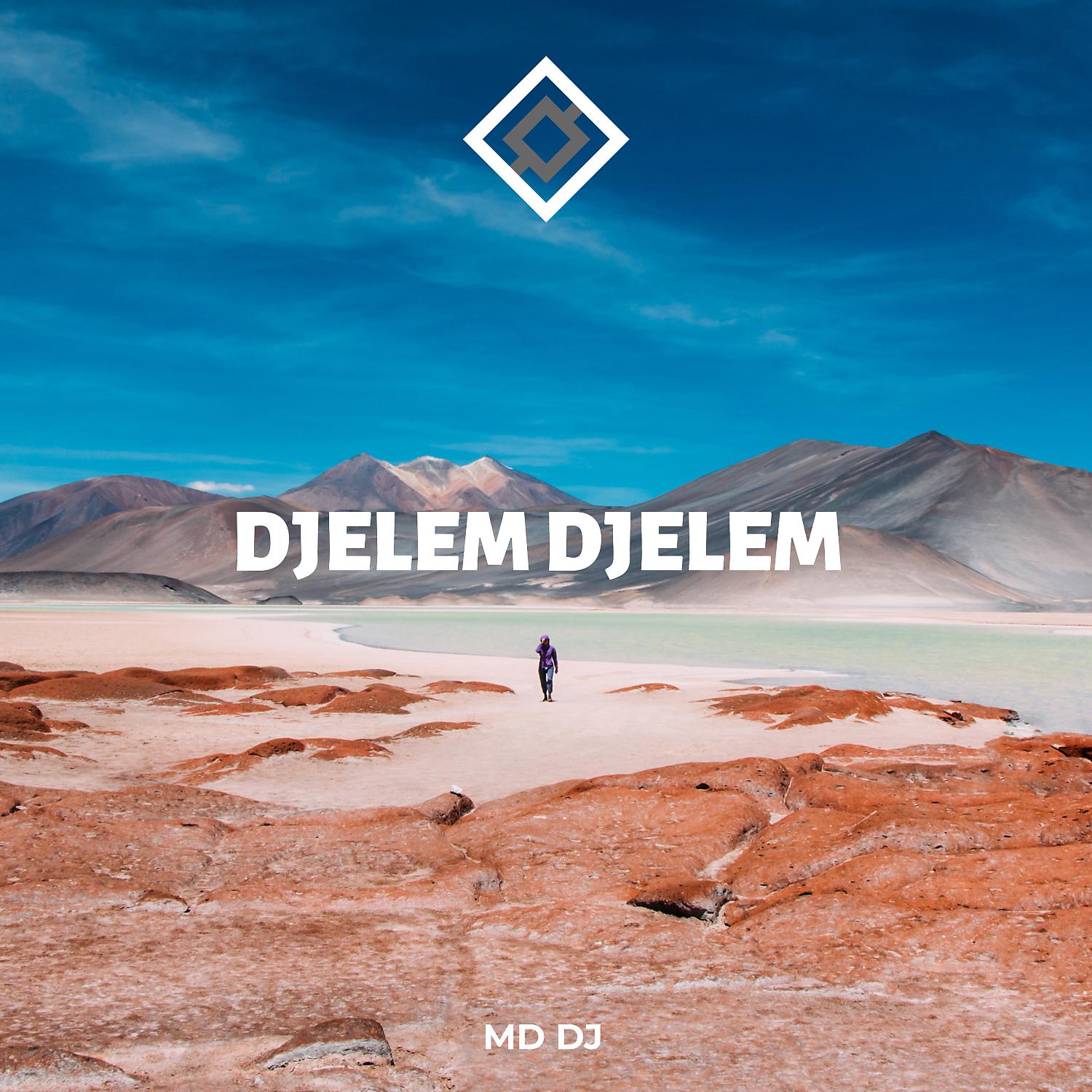 Постер альбома Djelem Djelem