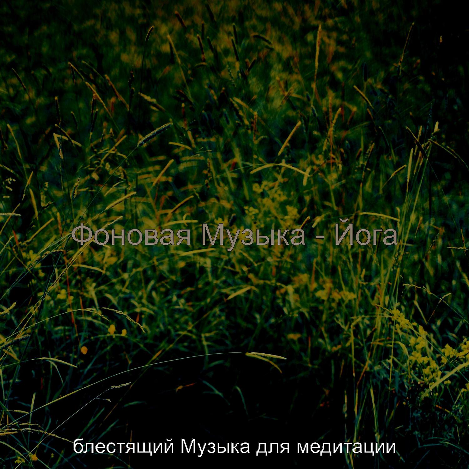 Постер альбома Фоновая Музыка - Йога