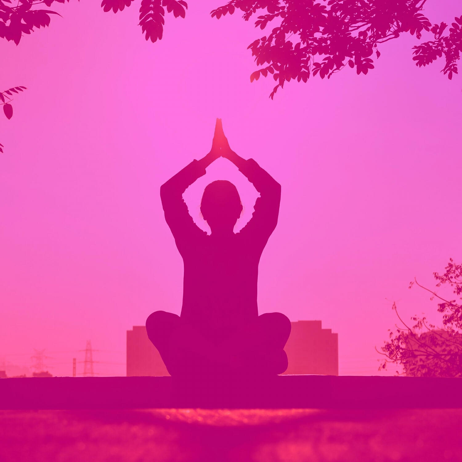 Chic Relaxing Spa Music - Cheerful Meditation Music - Vibe for Facials