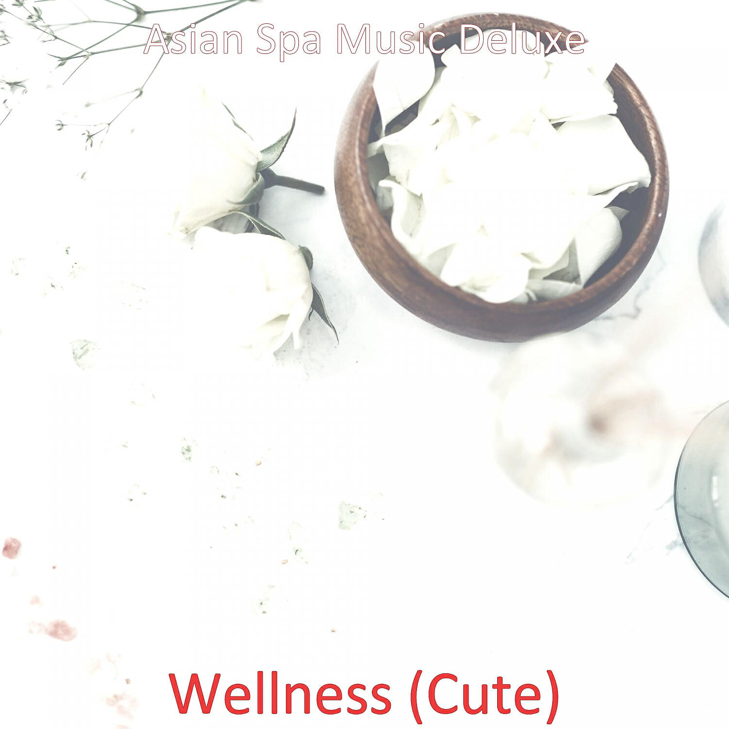 Asian Spa Music Deluxe - Serene (Spa Treatments)