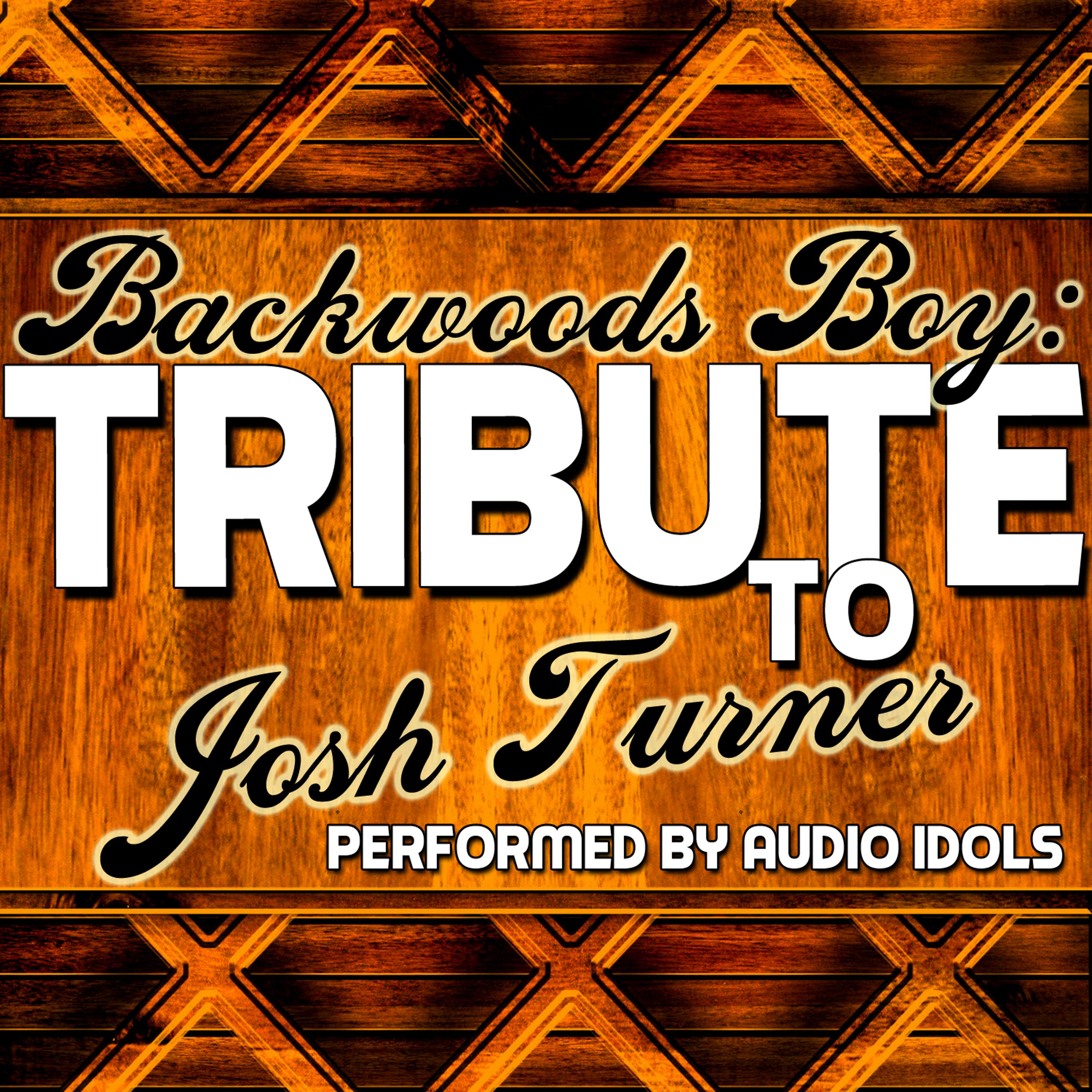 Постер альбома Backwoods Boy: Tribute to Josh Turner