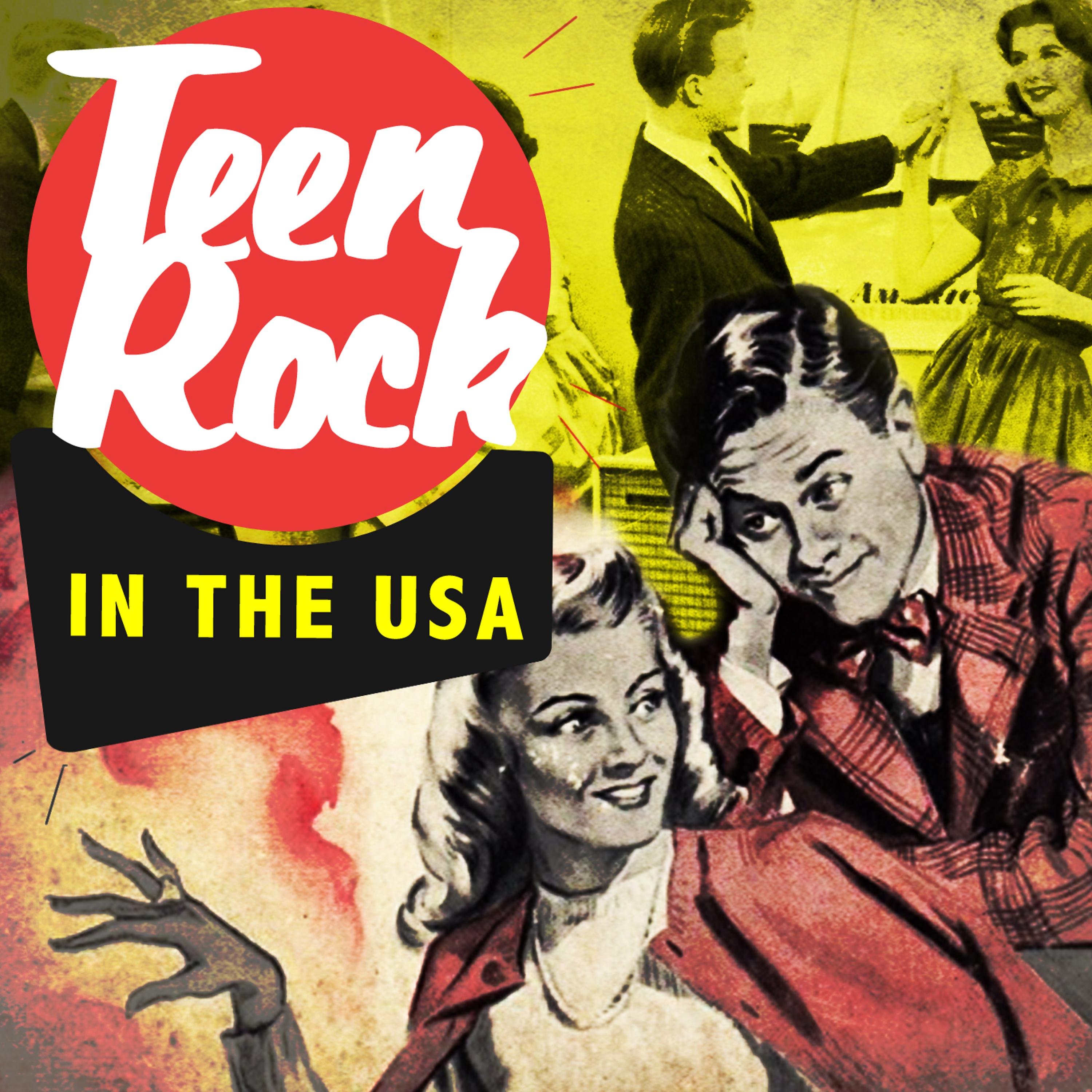 Постер альбома Teen Rock in the USA