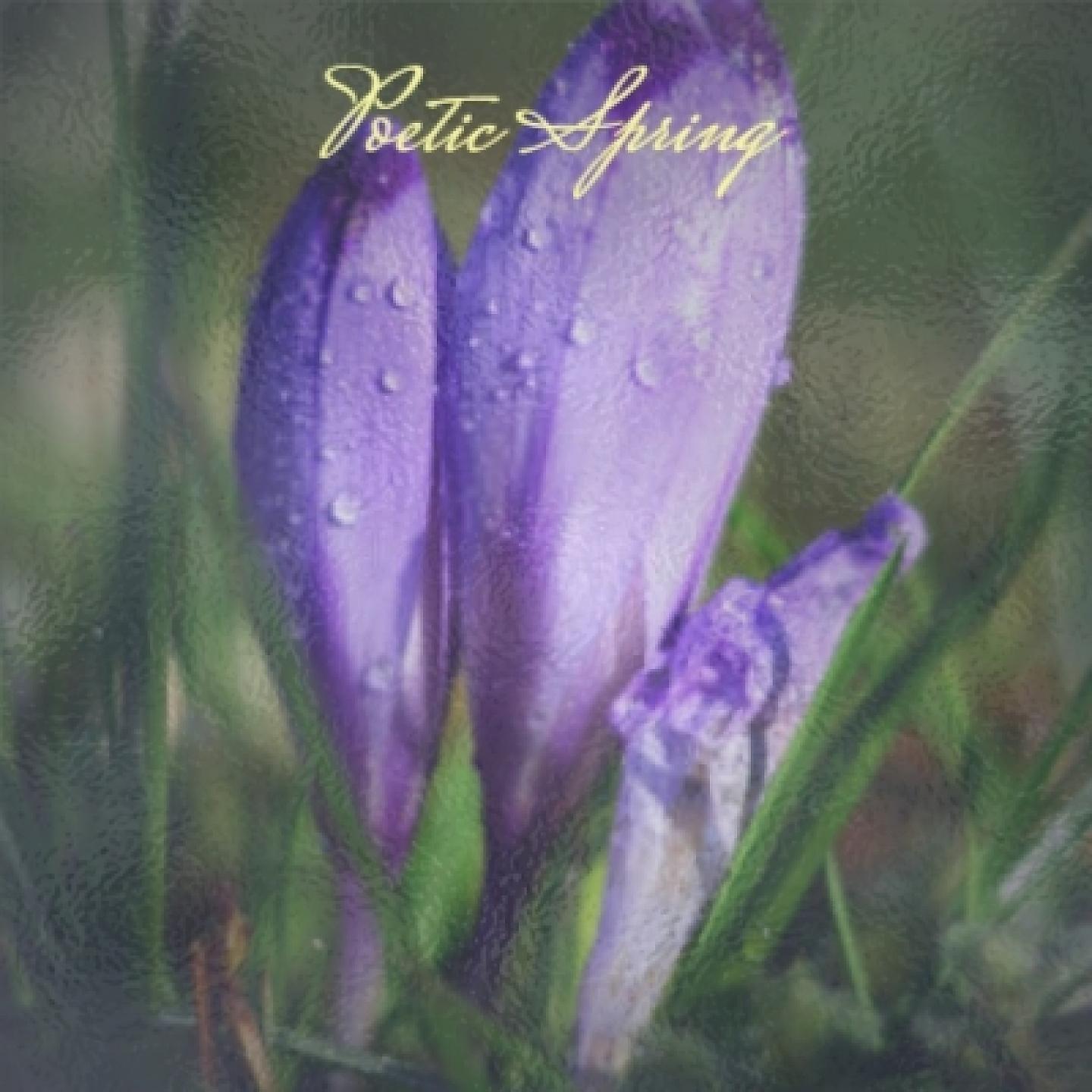 Постер альбома Poetic Spring