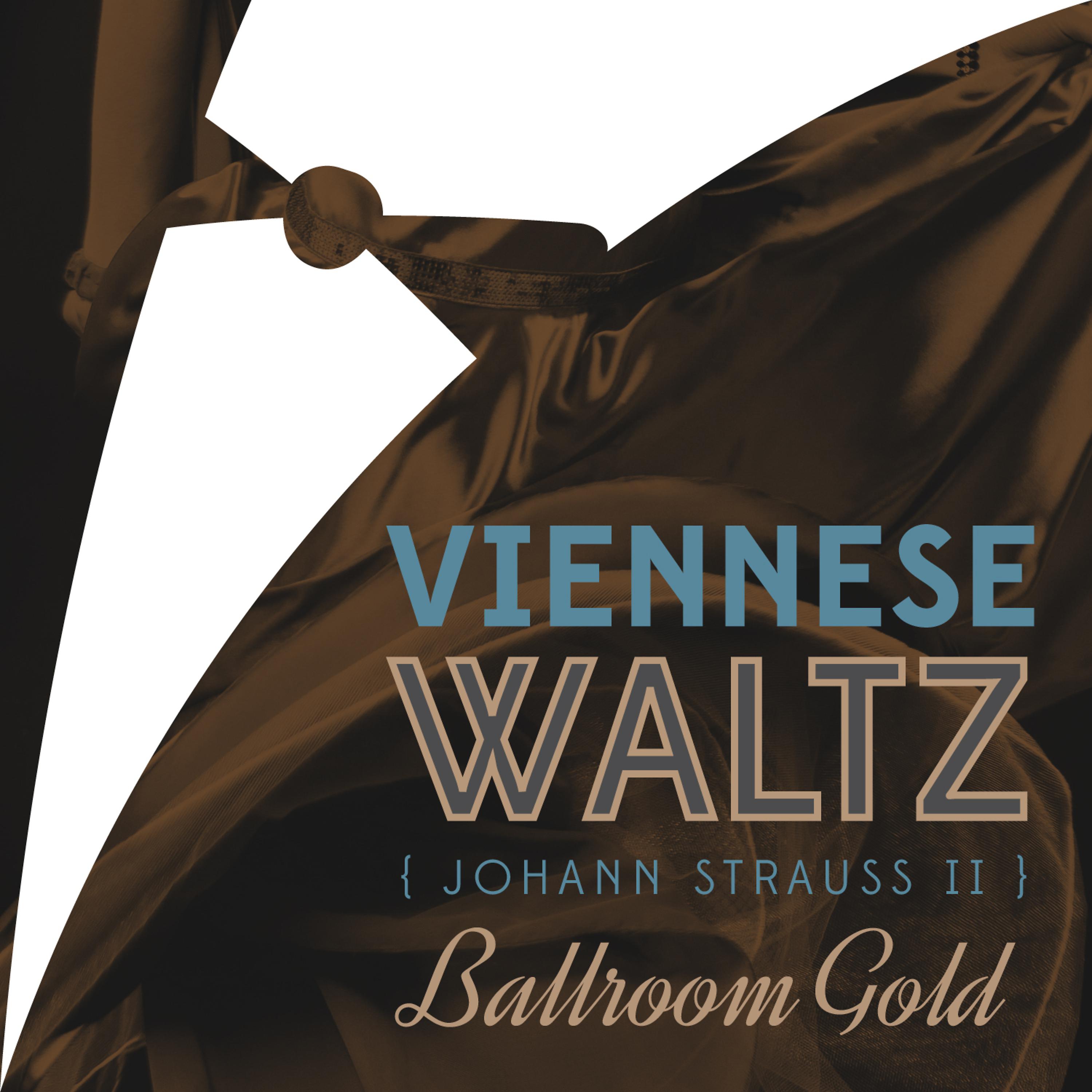 Постер альбома Viennese Waltz of Johann Strauss II