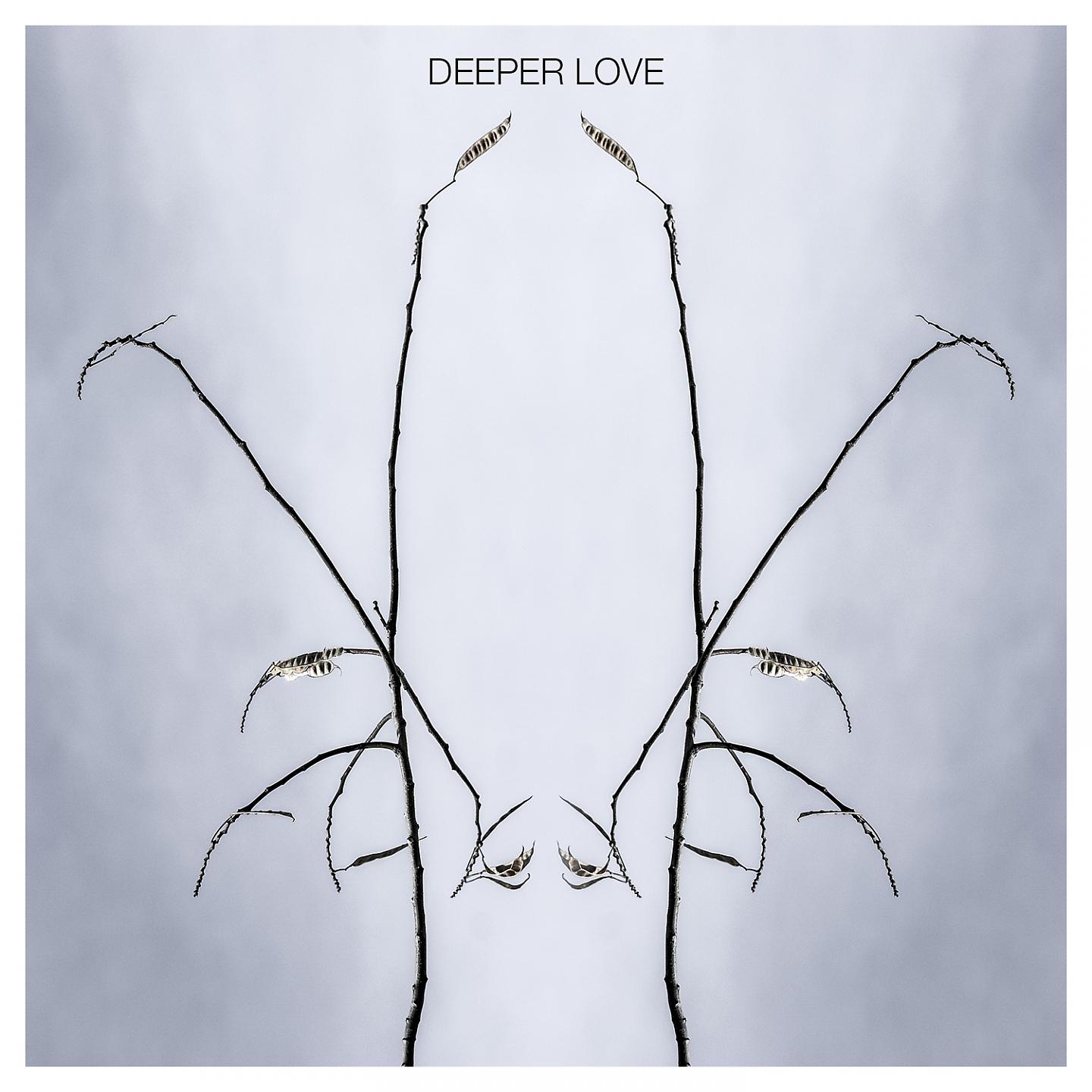 Постер альбома Deeper Love