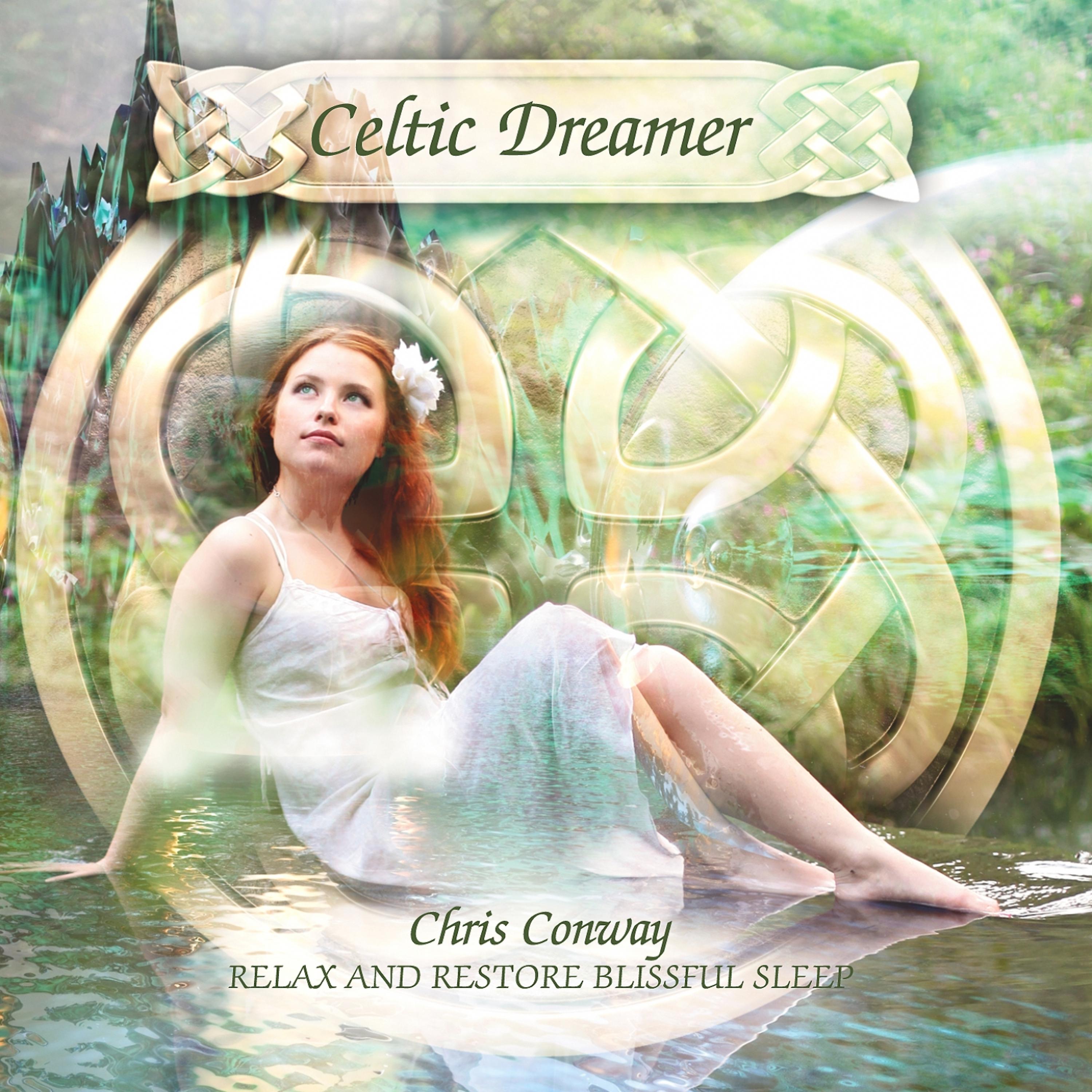 Постер альбома Celtic Dreamer