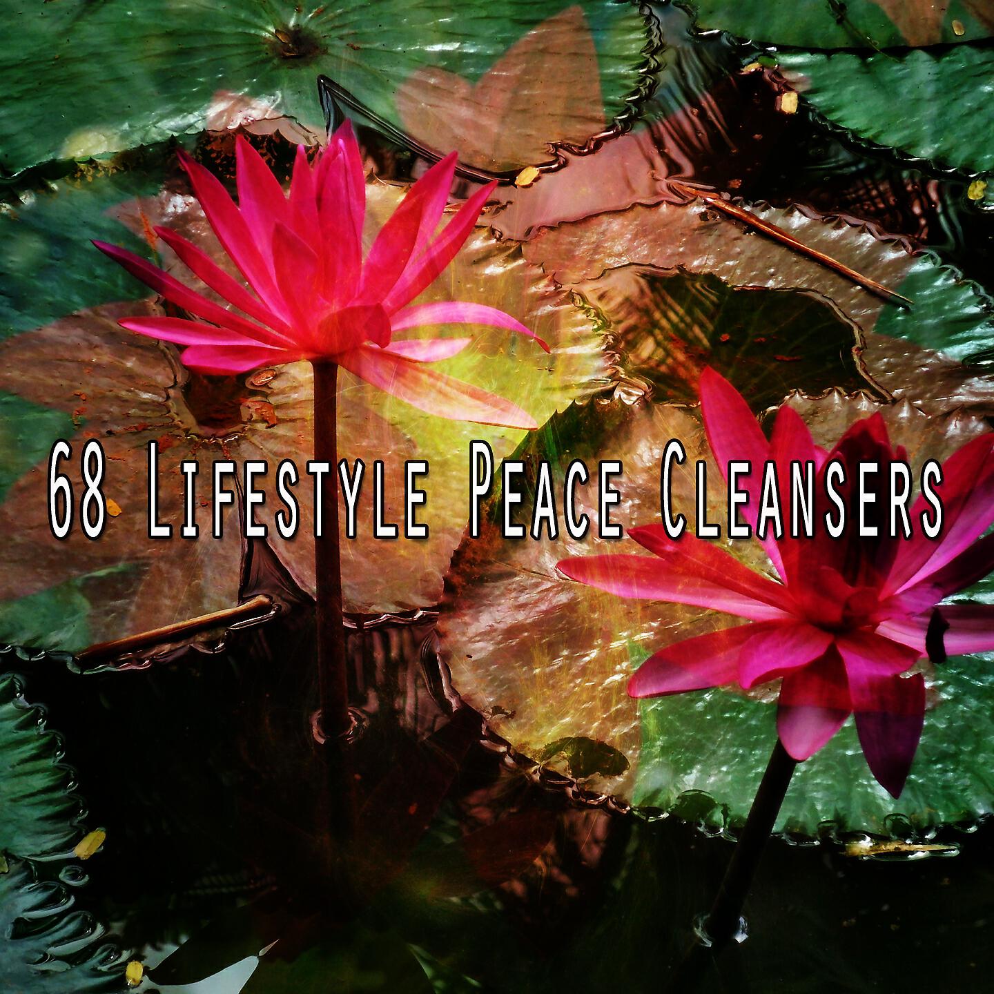 Asian Zen Spa Music Meditation - Trip to the Subconscious