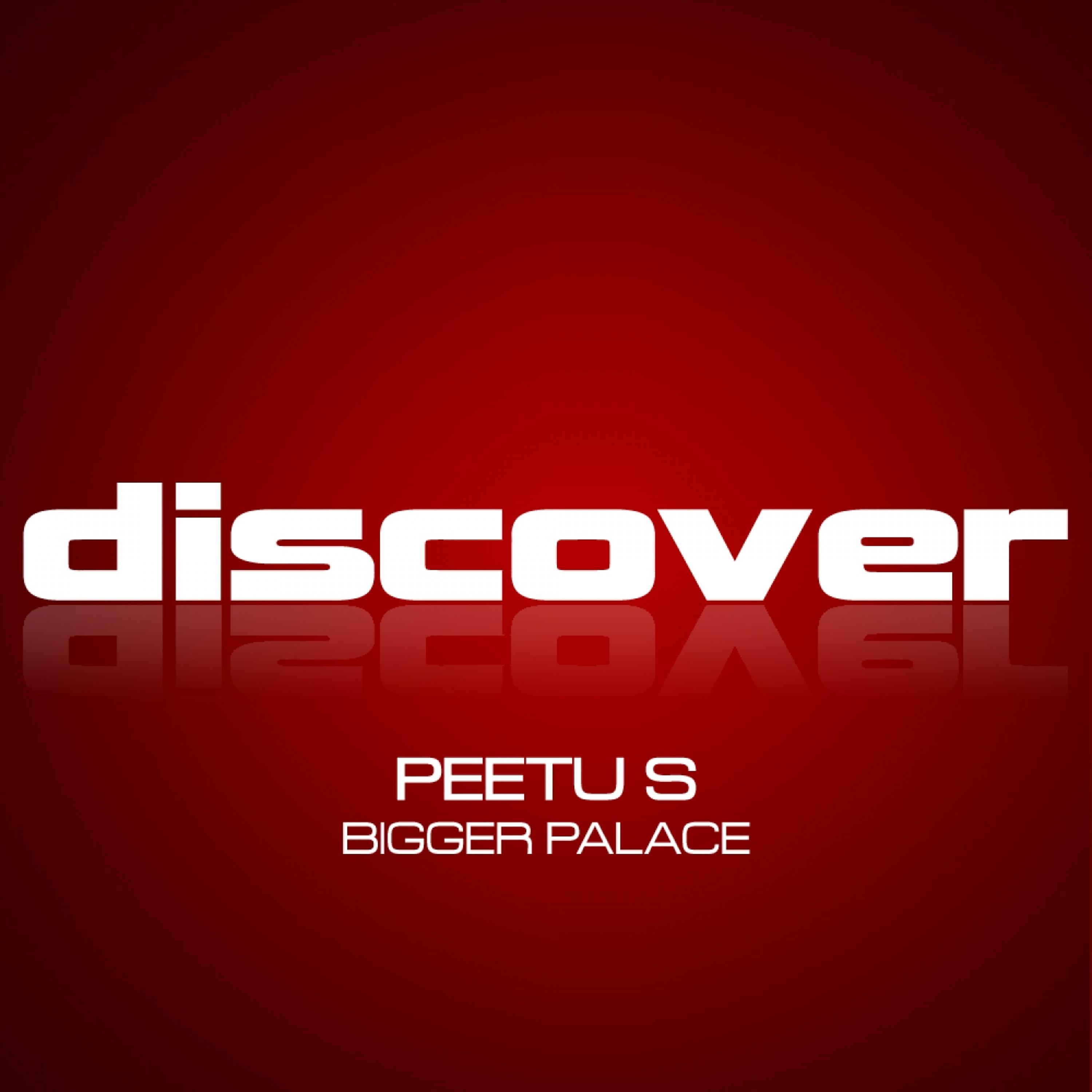 Постер альбома Bigger Palace