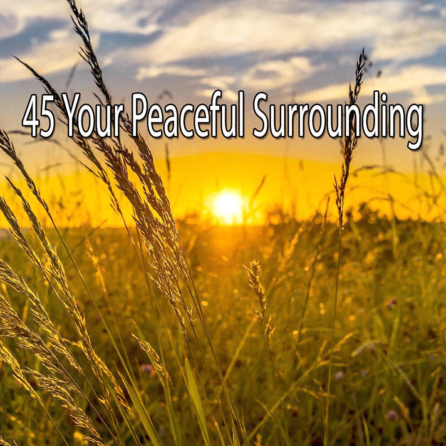 Relaxing Mindfulness Meditation Relaxation Maestro - Successful Brilliance