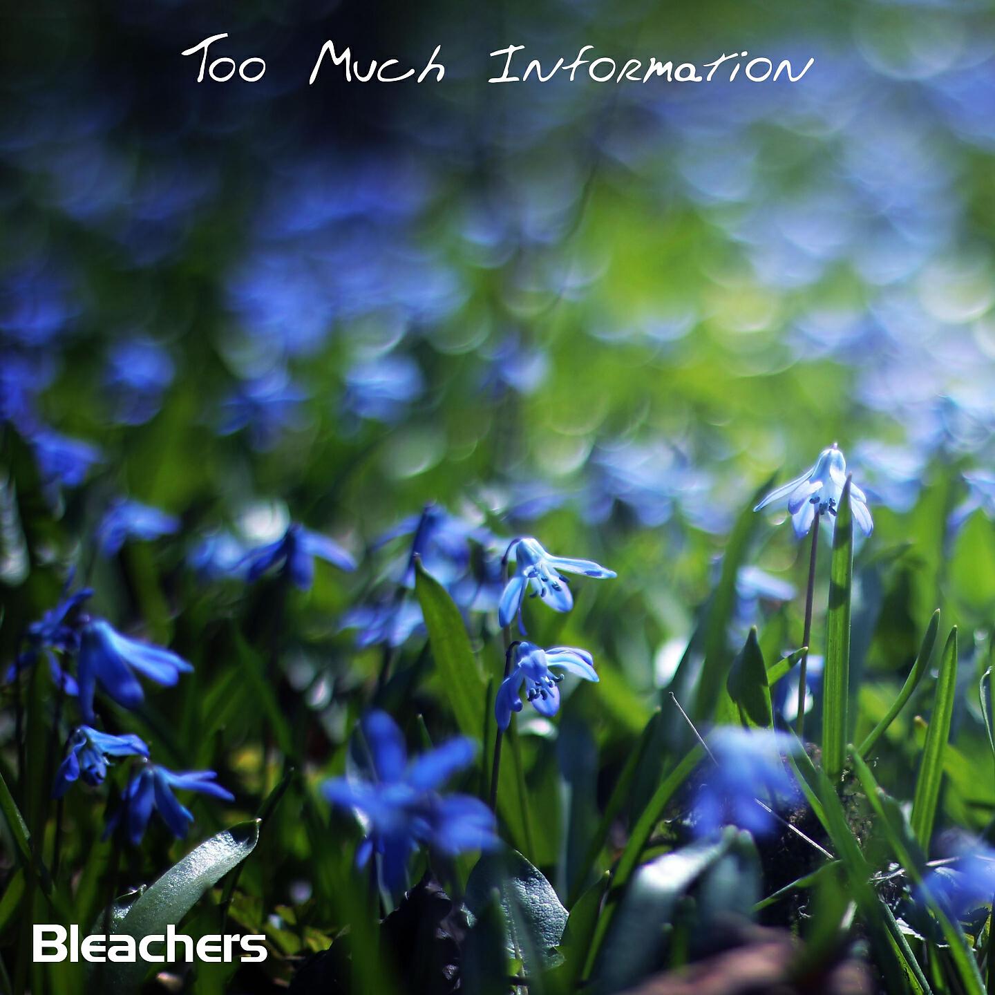 Bleachers - The Bells