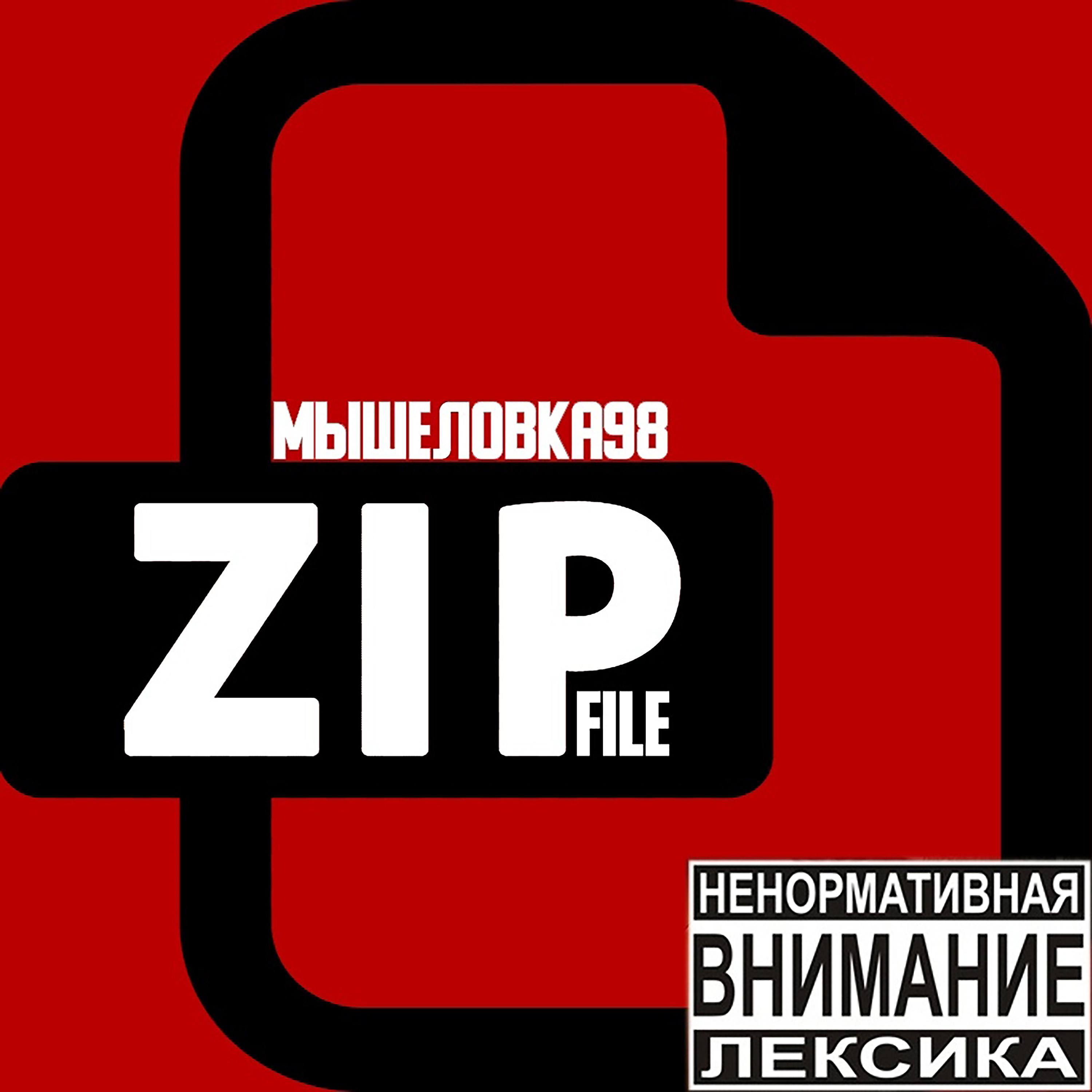 Постер альбома Zip File