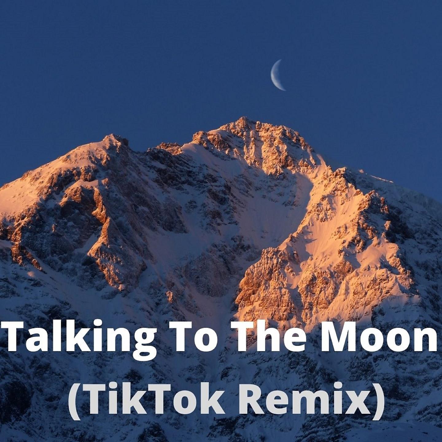 Постер альбома Talking To The Moon - Tik-Tok