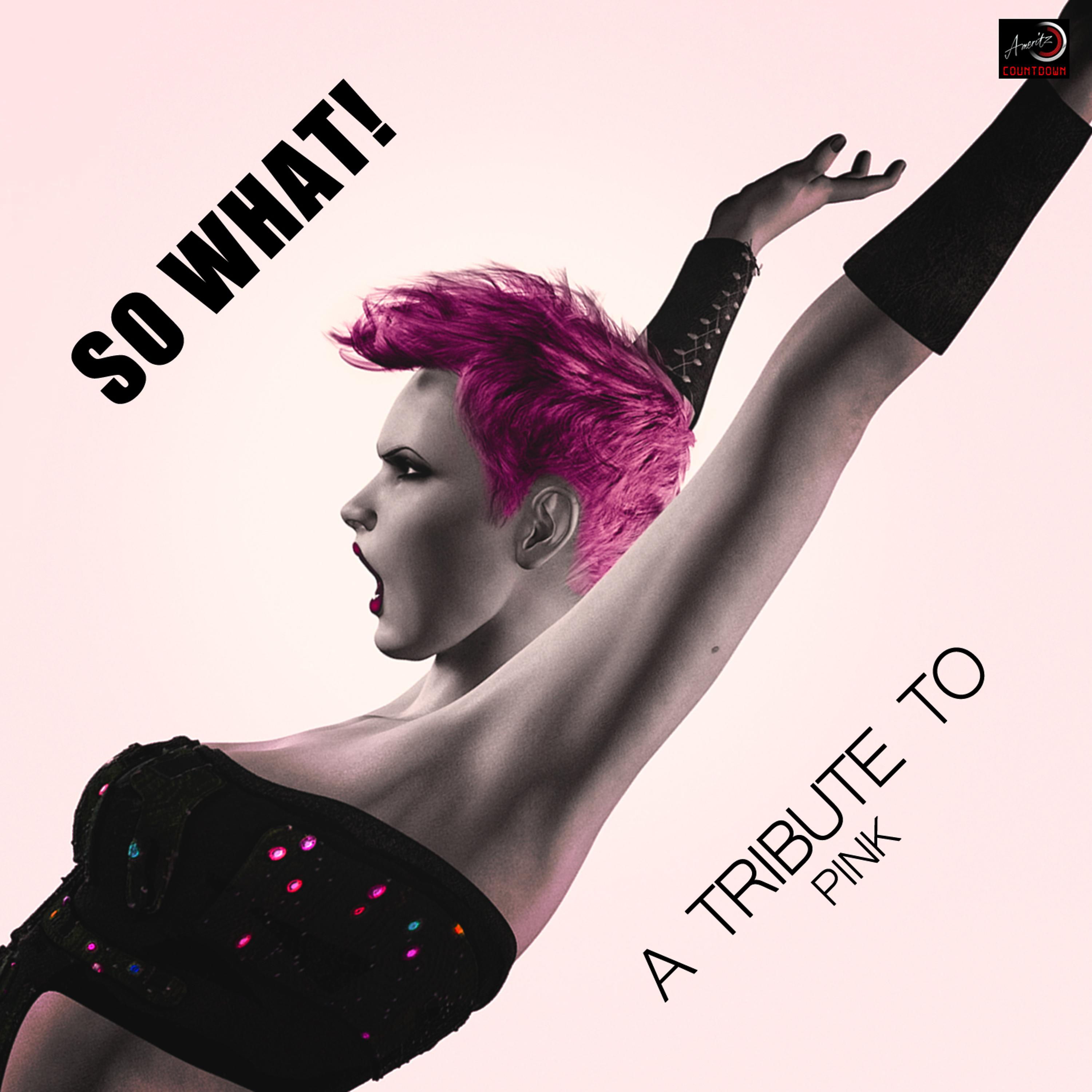 Постер альбома So What! (A Tribute to Pink)