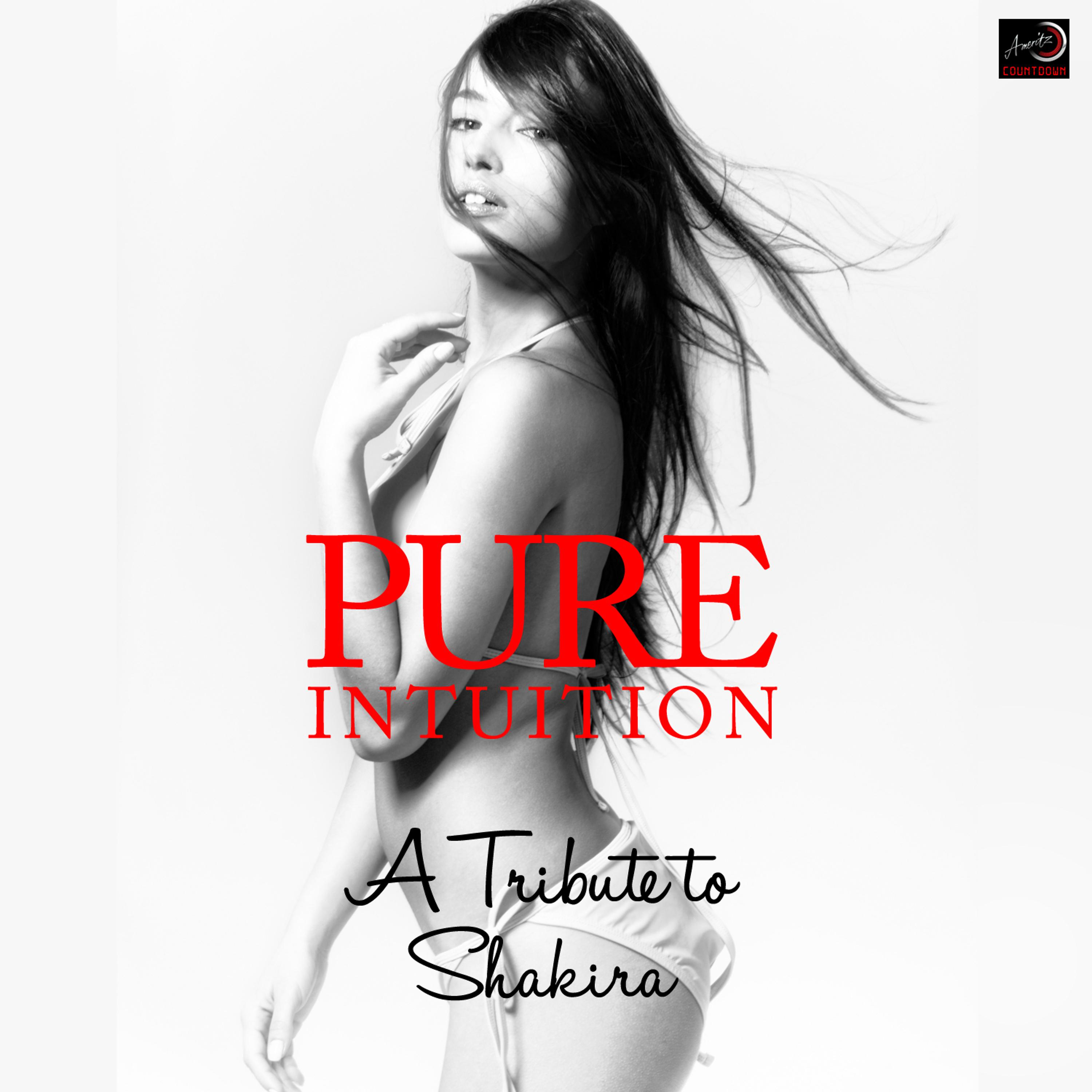 Постер альбома Pure Intuition (A Tribute to Shakira)