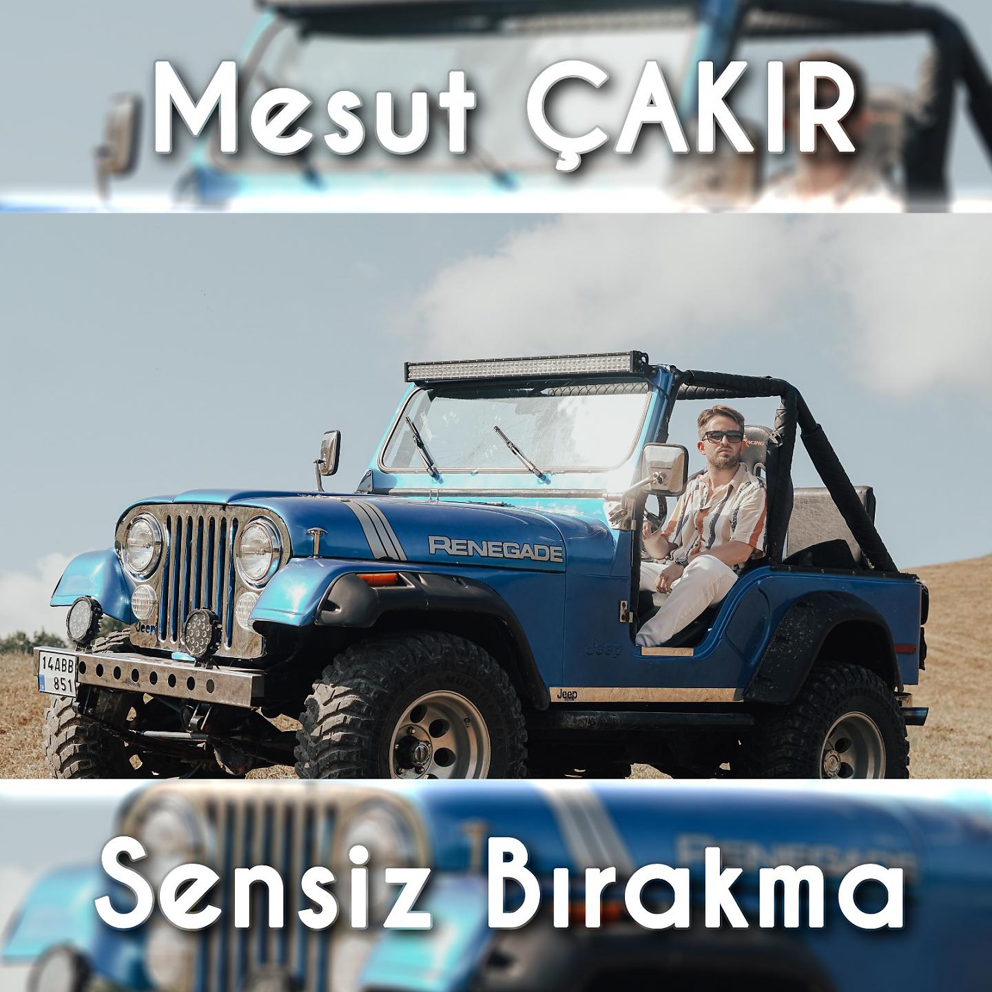 Постер альбома Sensiz Bırakma