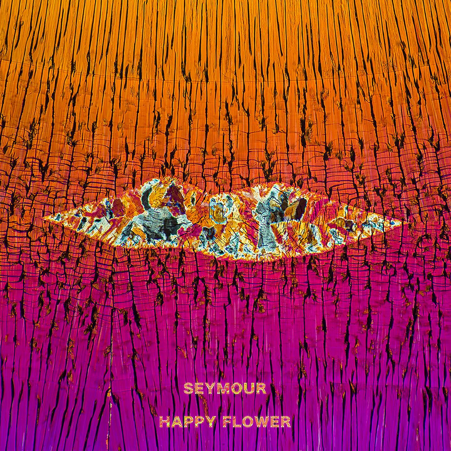 Постер альбома Happy Flower