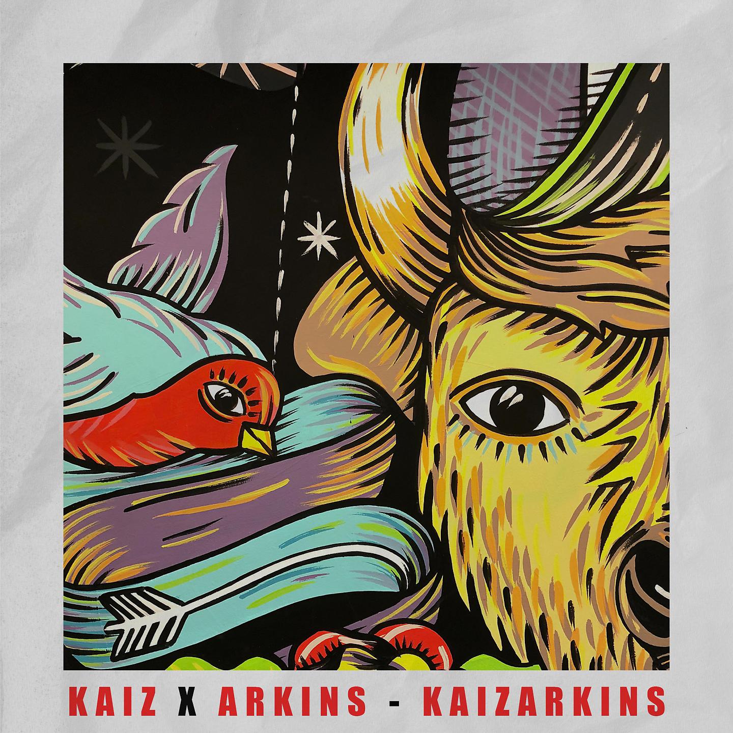 Постер альбома Kaizarkins