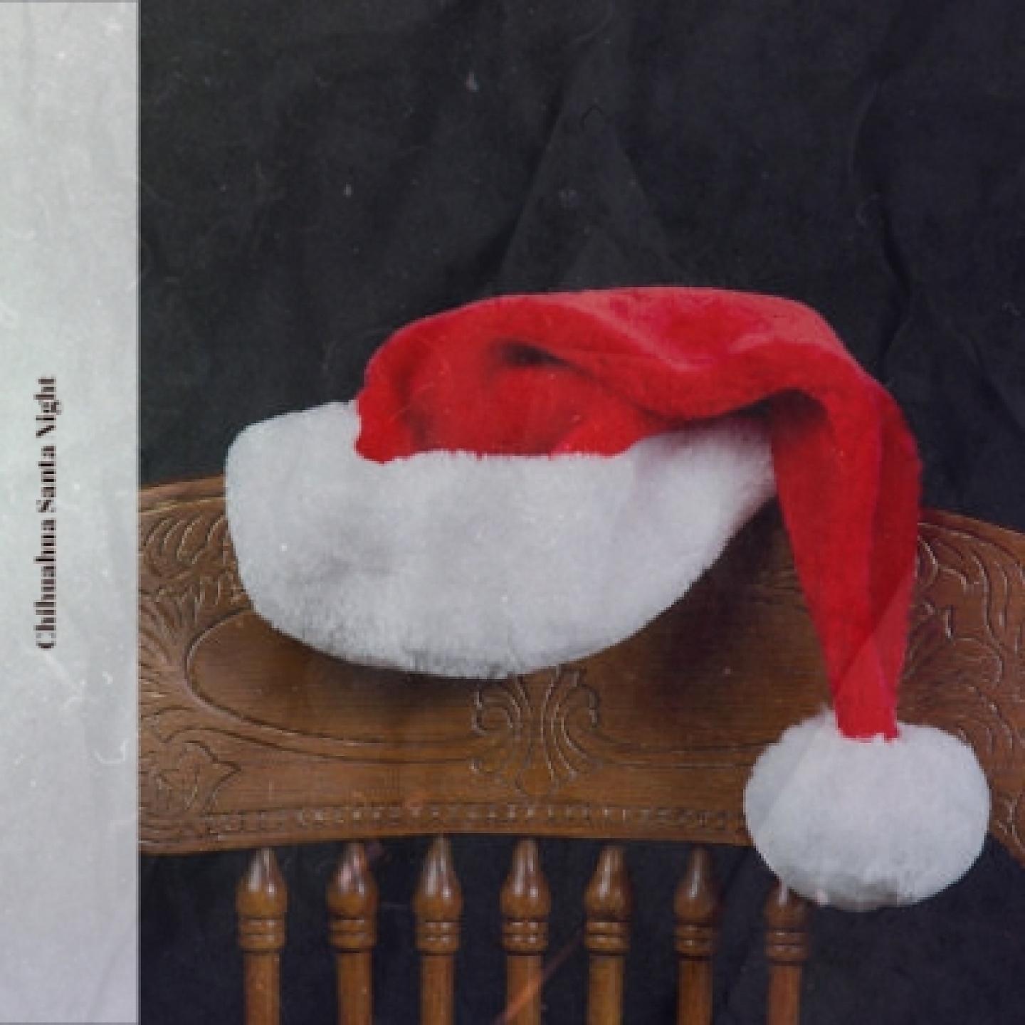 Постер альбома Chihuahua Santa Night