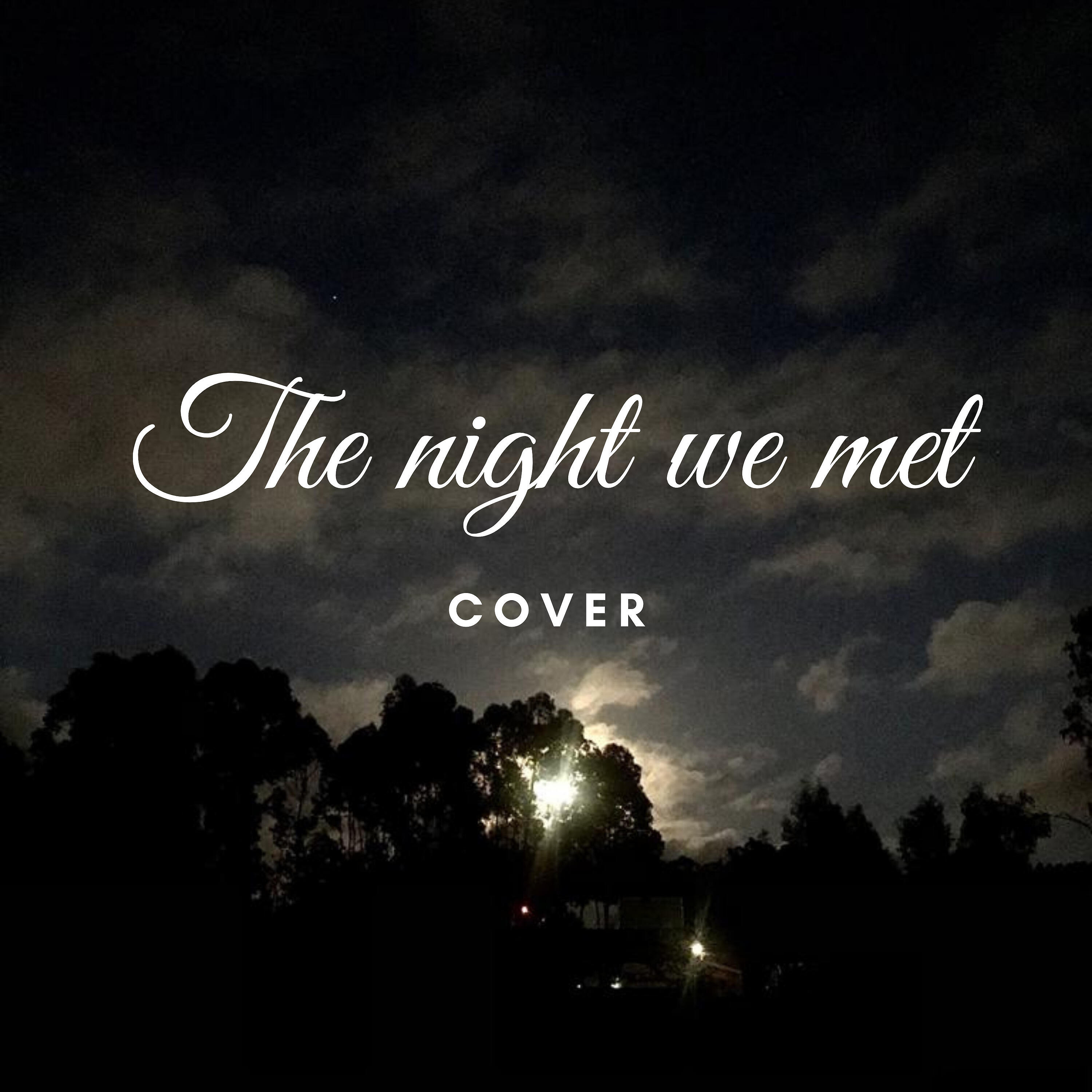 Ana Francisca Sampaio Novais - The Night We Met (Cover)