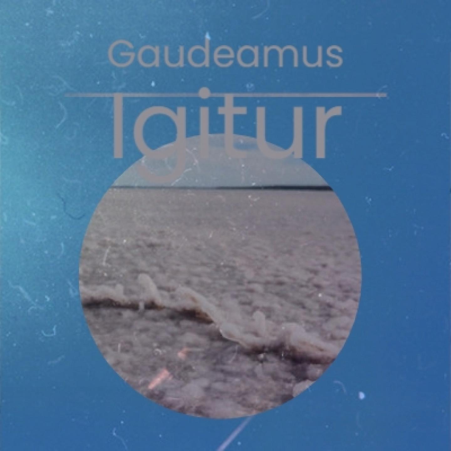 Постер альбома Gaudeamus Igitur