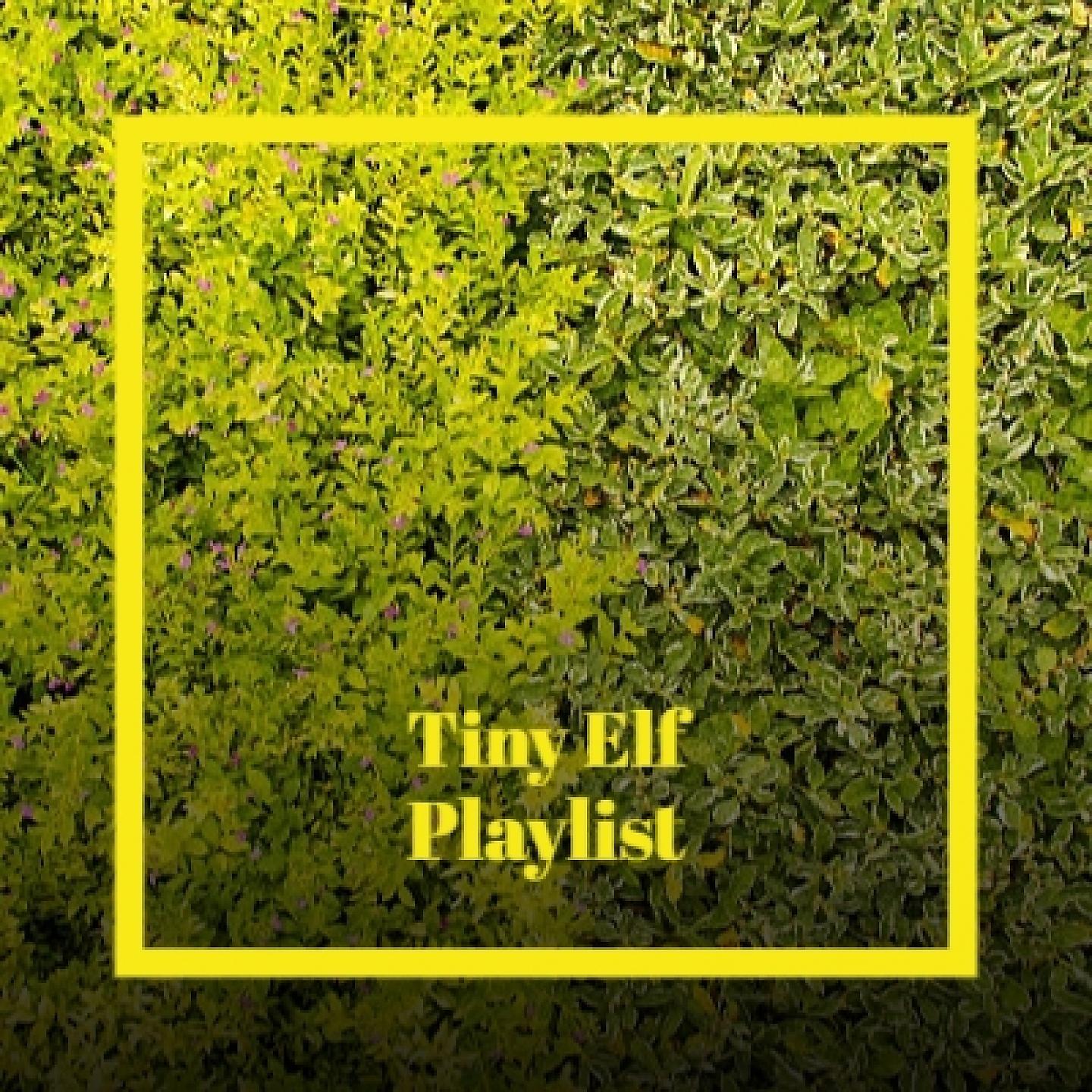Постер альбома Tiny Elf Playlist
