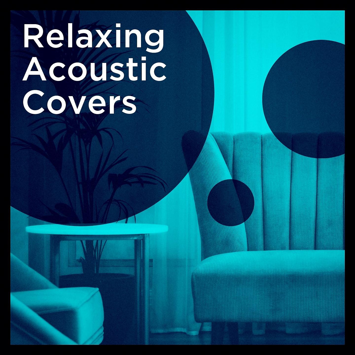 Постер альбома Relaxing Acoustic Covers