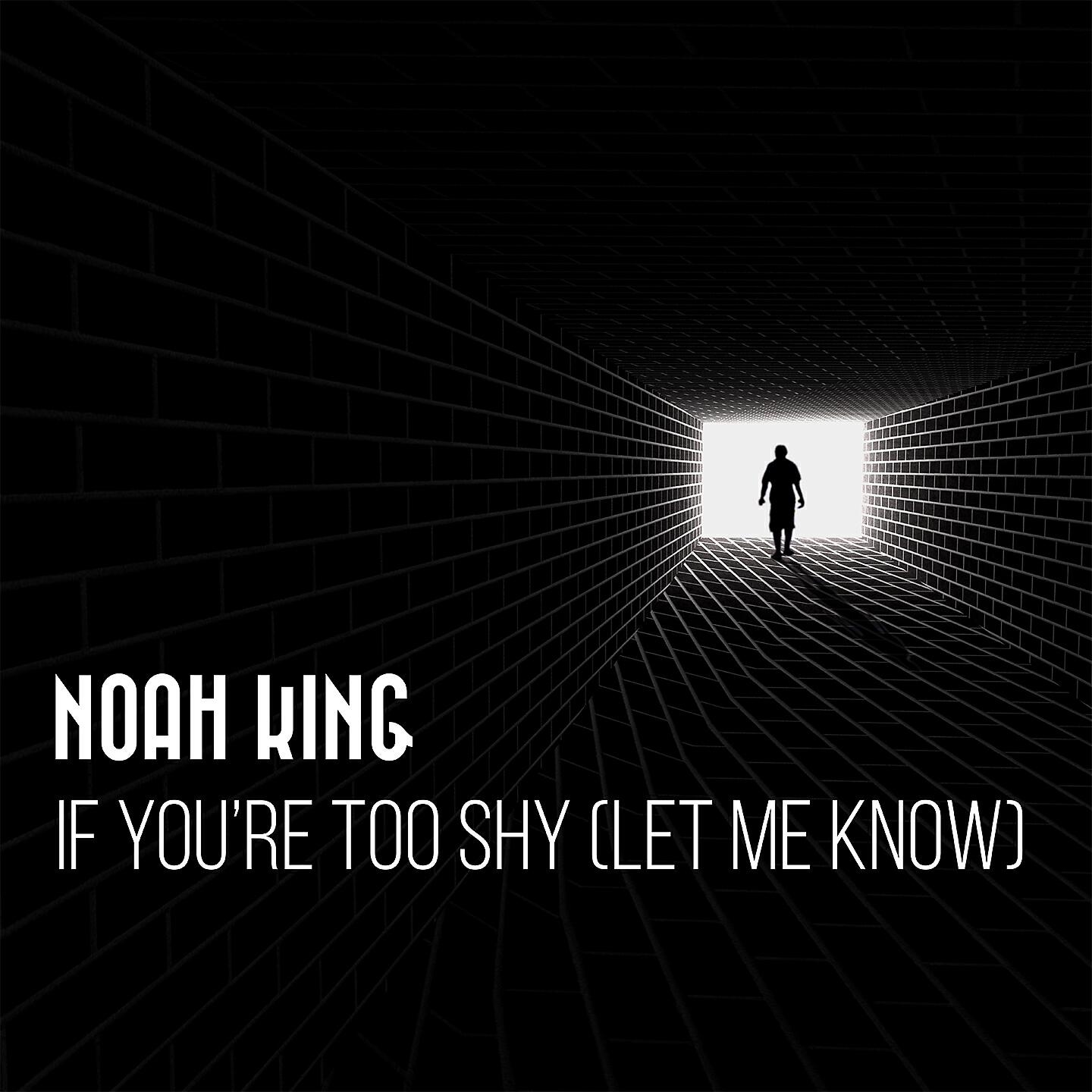 Noah King - If You're Too Shy (Let Me Know) (Instrumental)