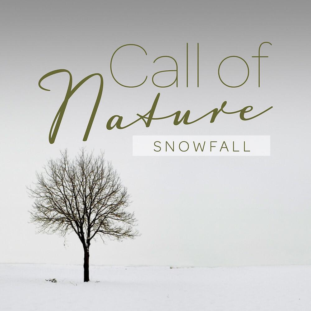 Mark Wayne - Call of Nature_Snowfall, Pt. 5
