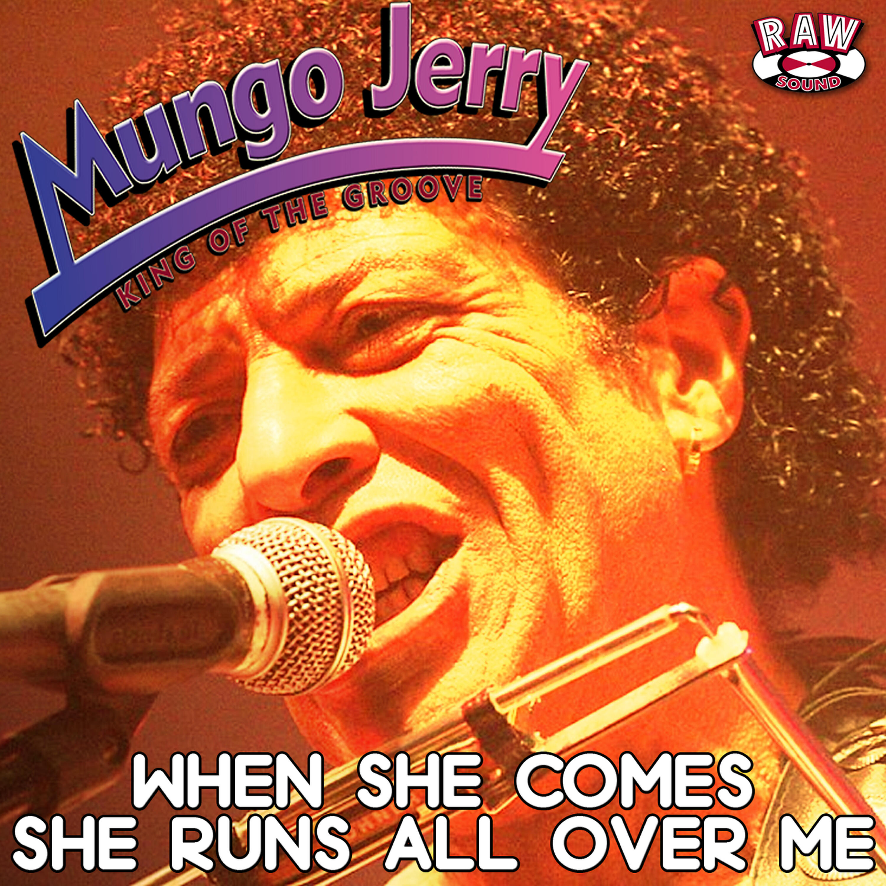 MUNGO JERRY - Married Woman Blues