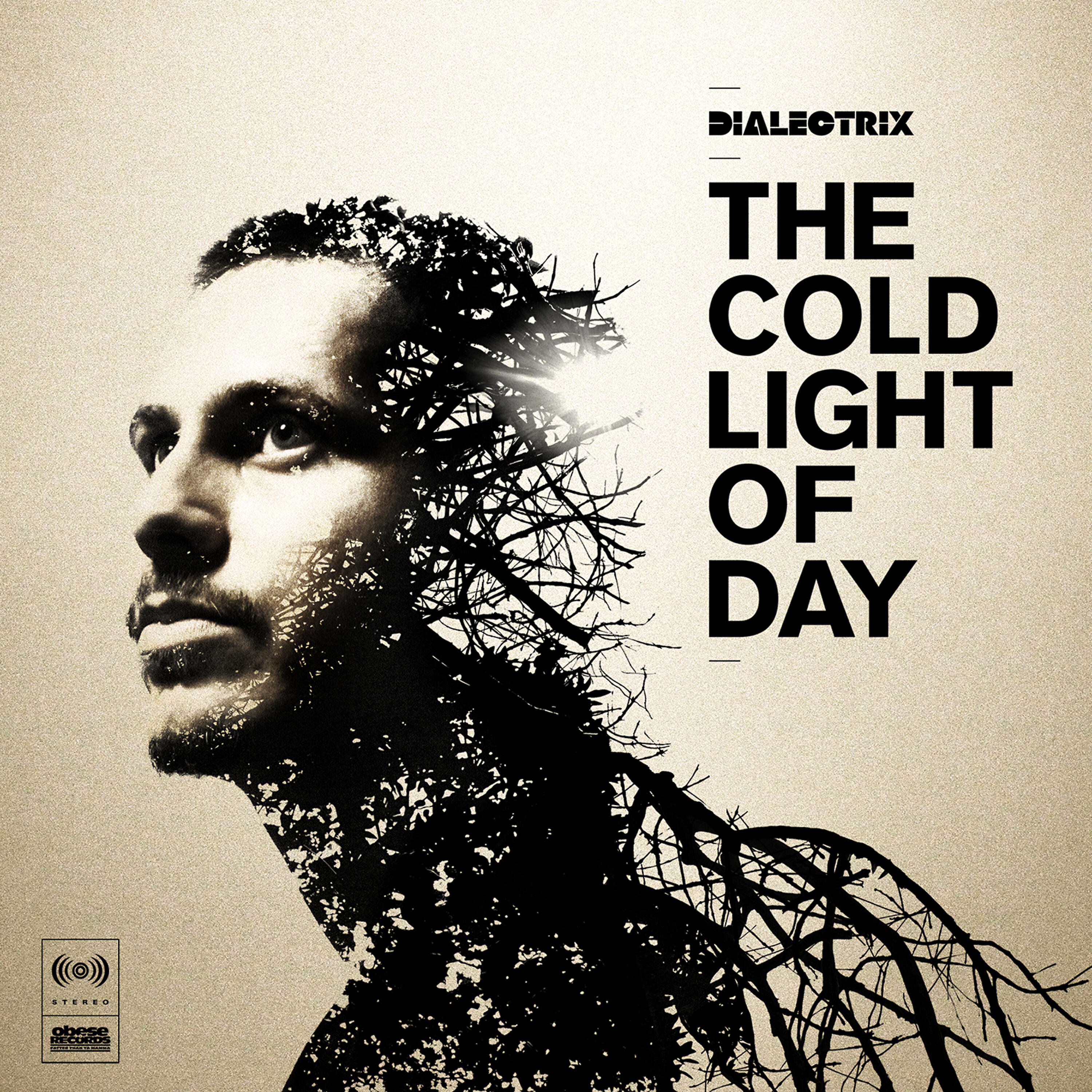 Dialectrix - Shadow in the Light