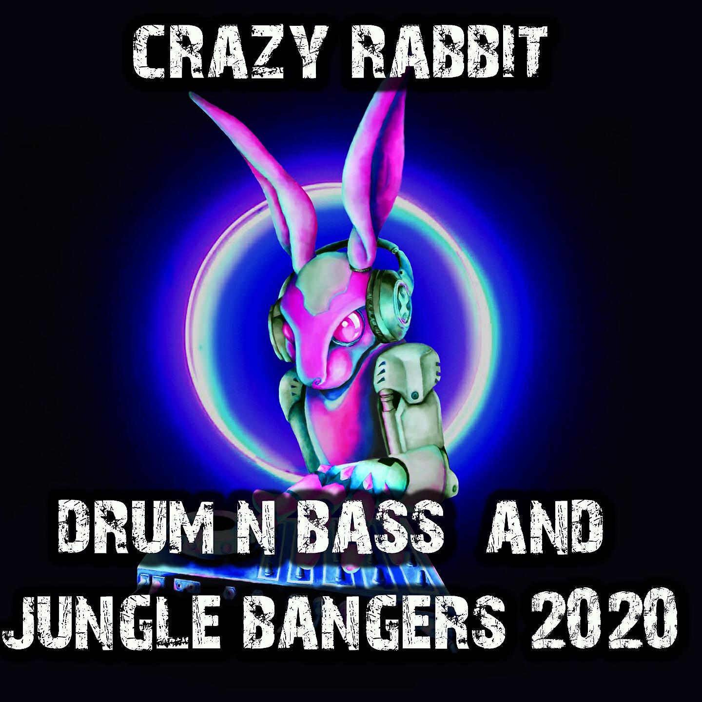 Cynical Rude Boy - Gun Shots Fired (DJ Purple Rabbit Remix)