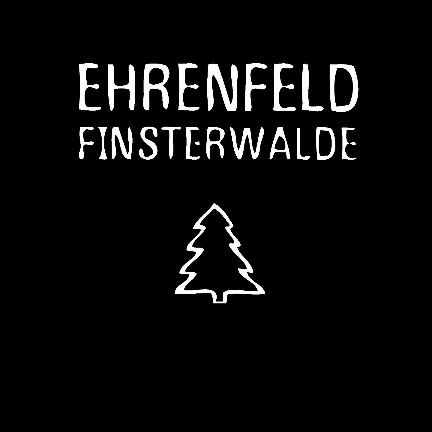 Постер альбома Finsterwalde