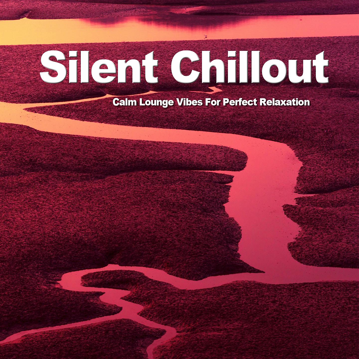 Постер альбома Silent Chillout