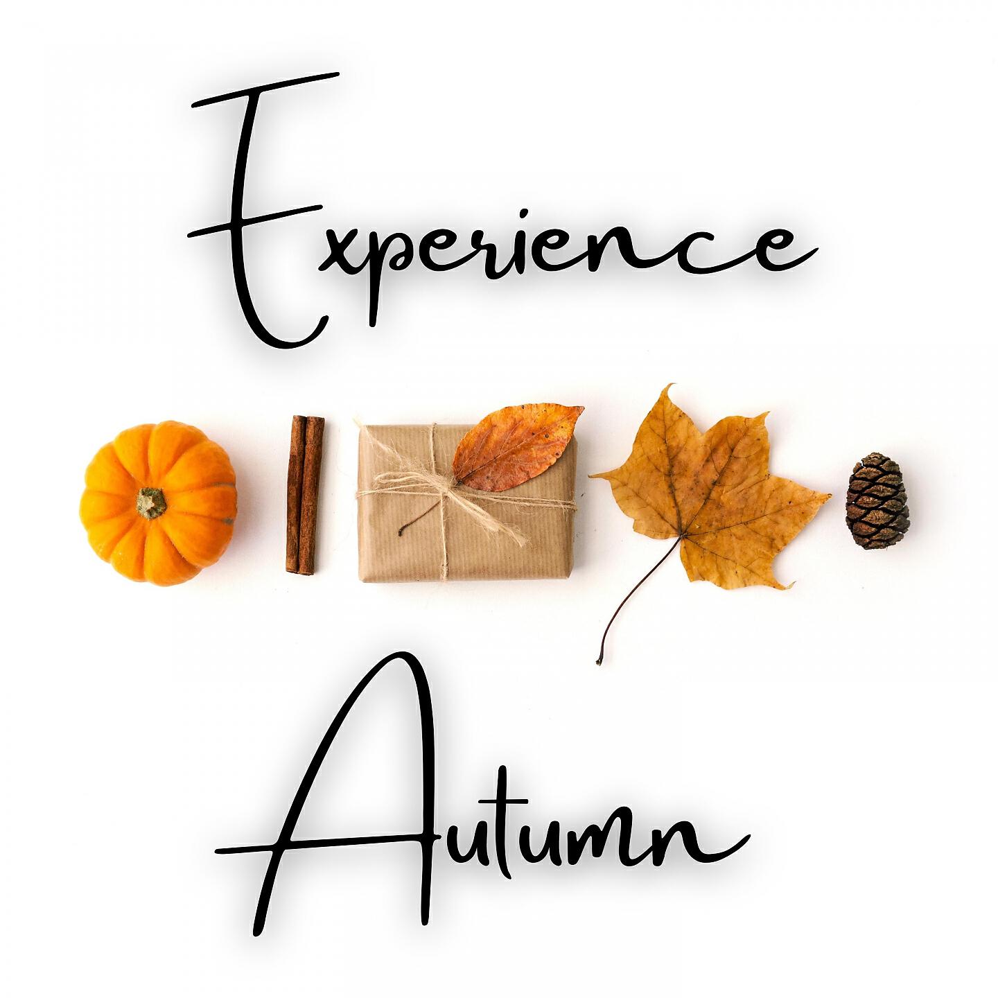 Dream House - Experiences Had in Autumn