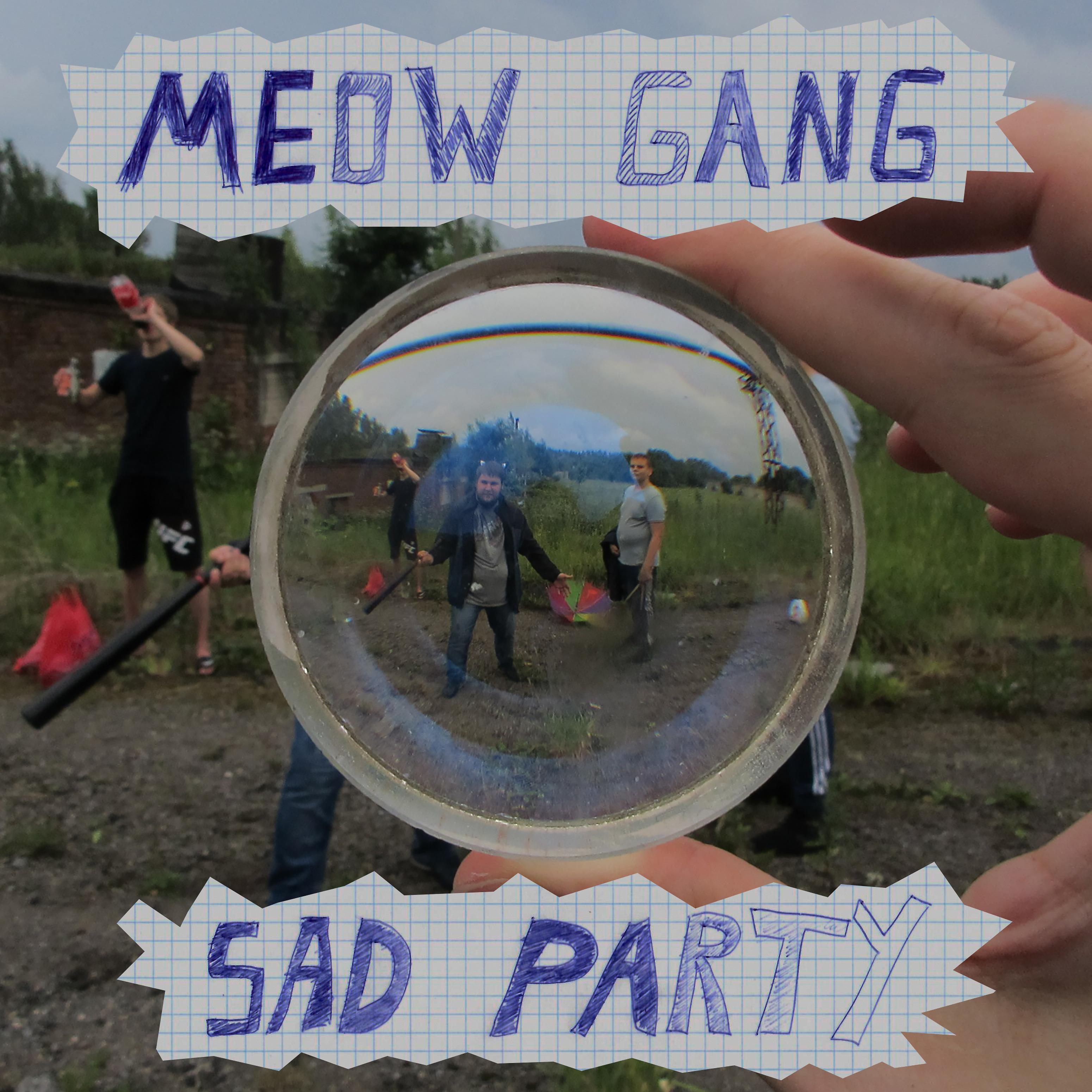 Постер альбома Sad Party